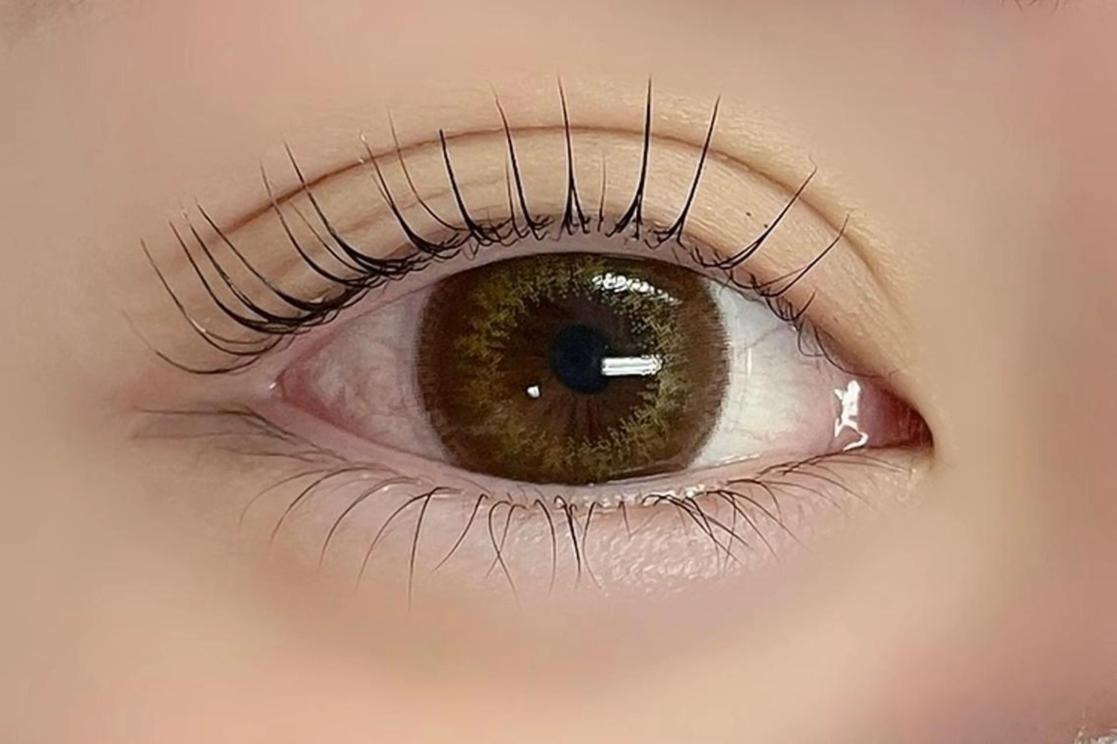 マツエク・マツパ マツパ 大阪福島 韓国まつげ Sayaka🤍🐩のマツエク・マツパデザイン