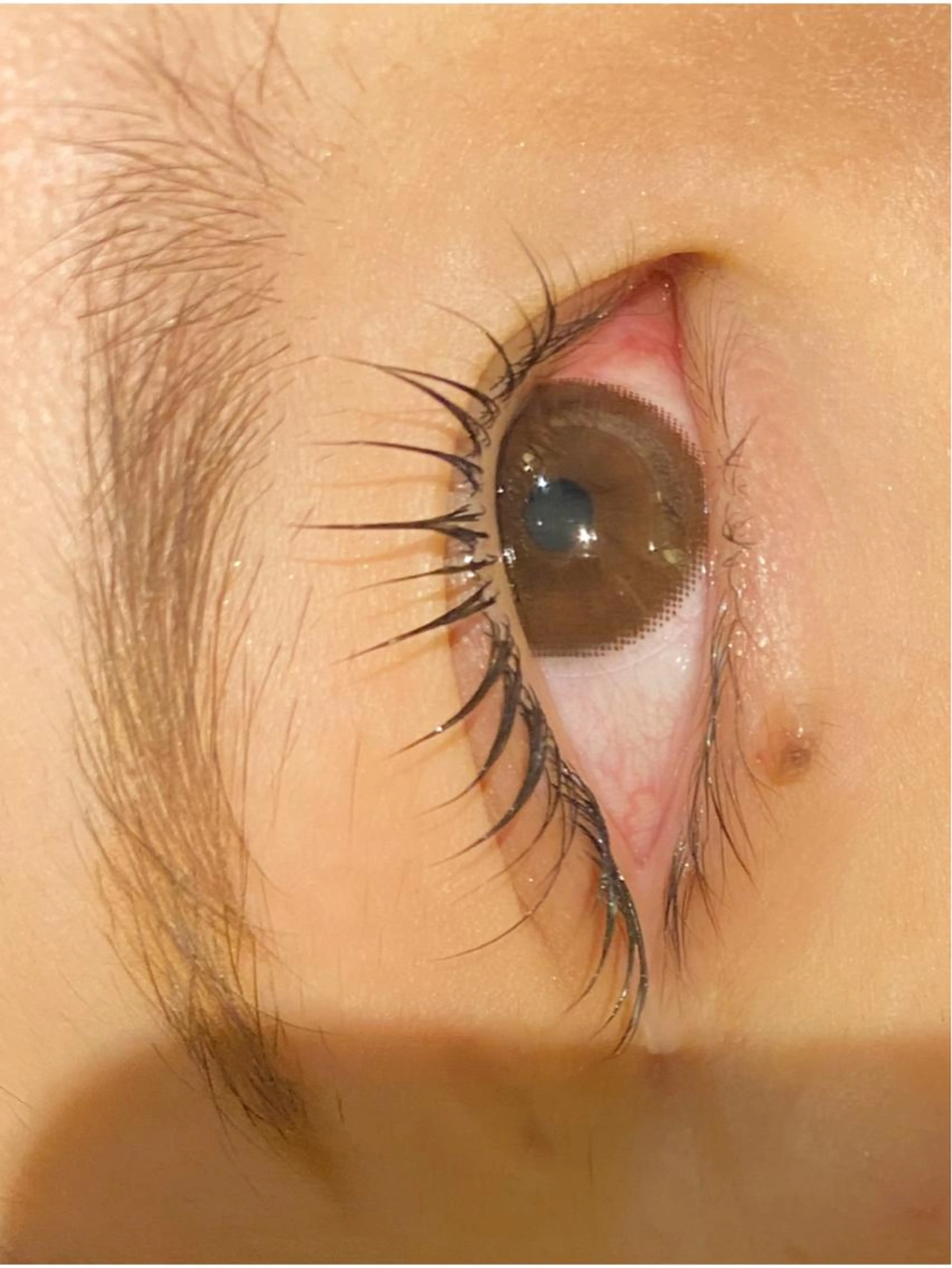 5月限定🤍パリジェンヌor次世代まつげパーマ/コーティング付き🤍5分前のご来店をお願い致します🙇🏼♂️の写真