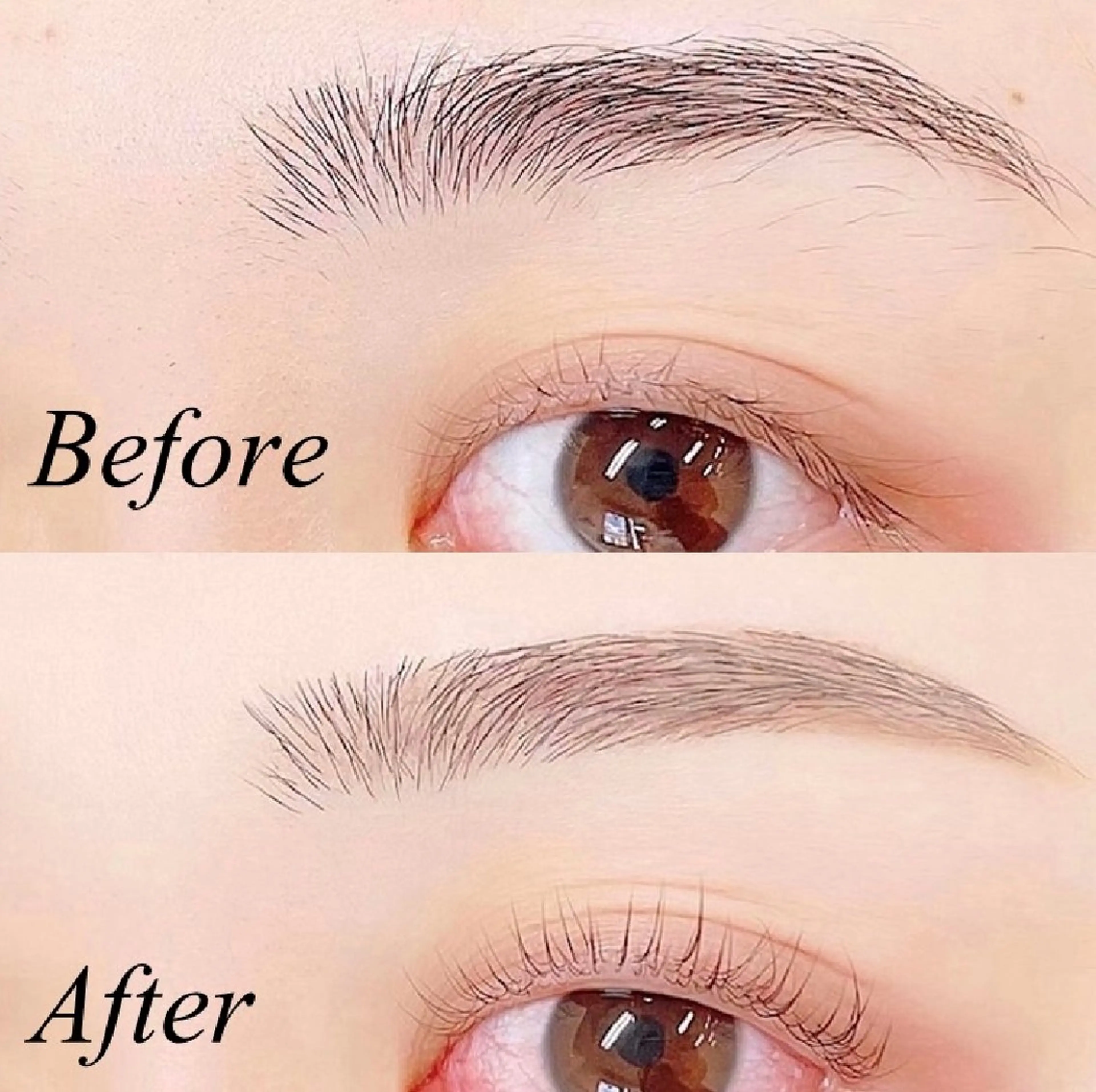 学割U24🎓《持続力⭐️眉毛パーマ》美眉アイブロウWAX+ハリウッドブロウリフト ¥4900の写真