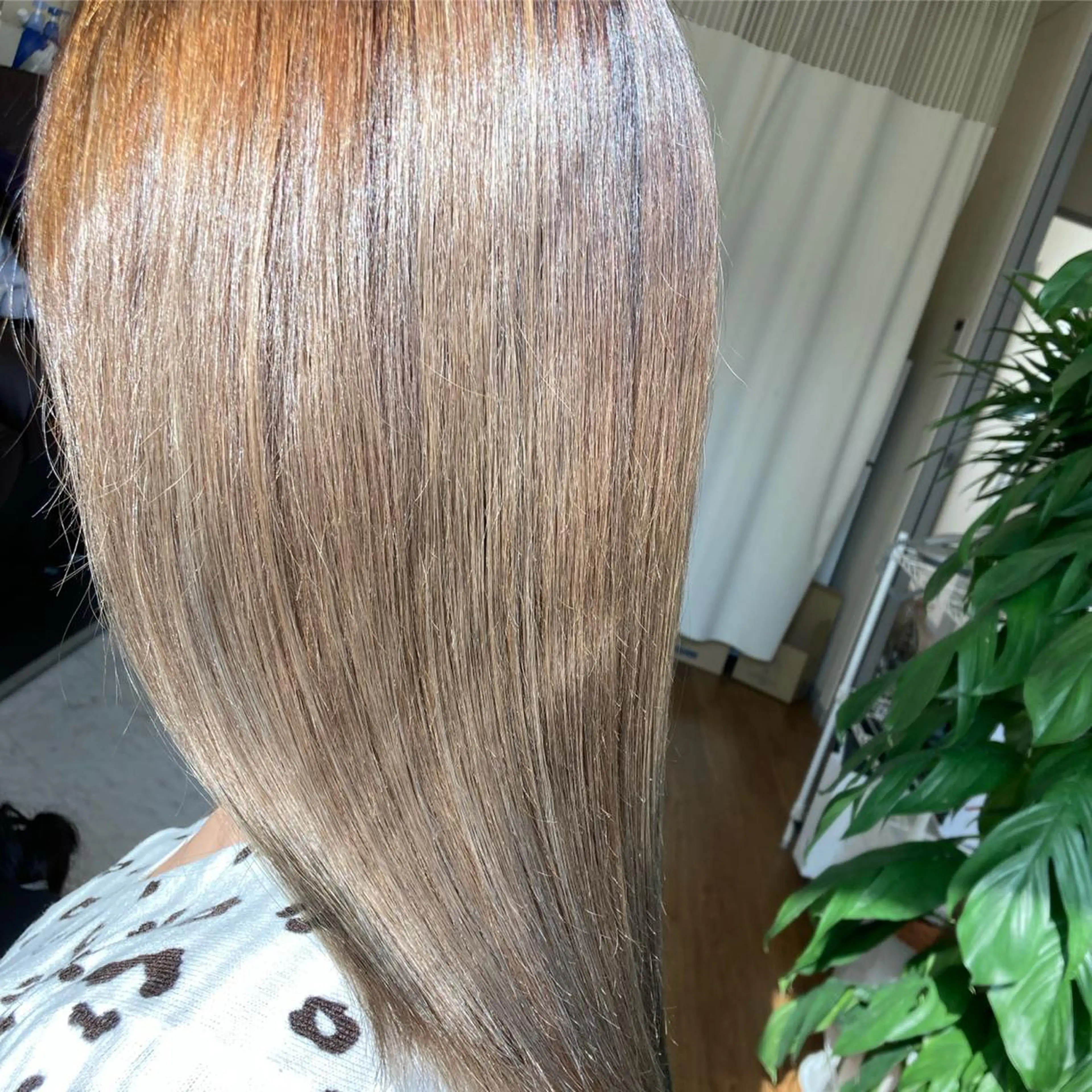 (新規)☆ミニモ限定価格☆カット & ヘアカラー & トリートメント  20%オフの写真