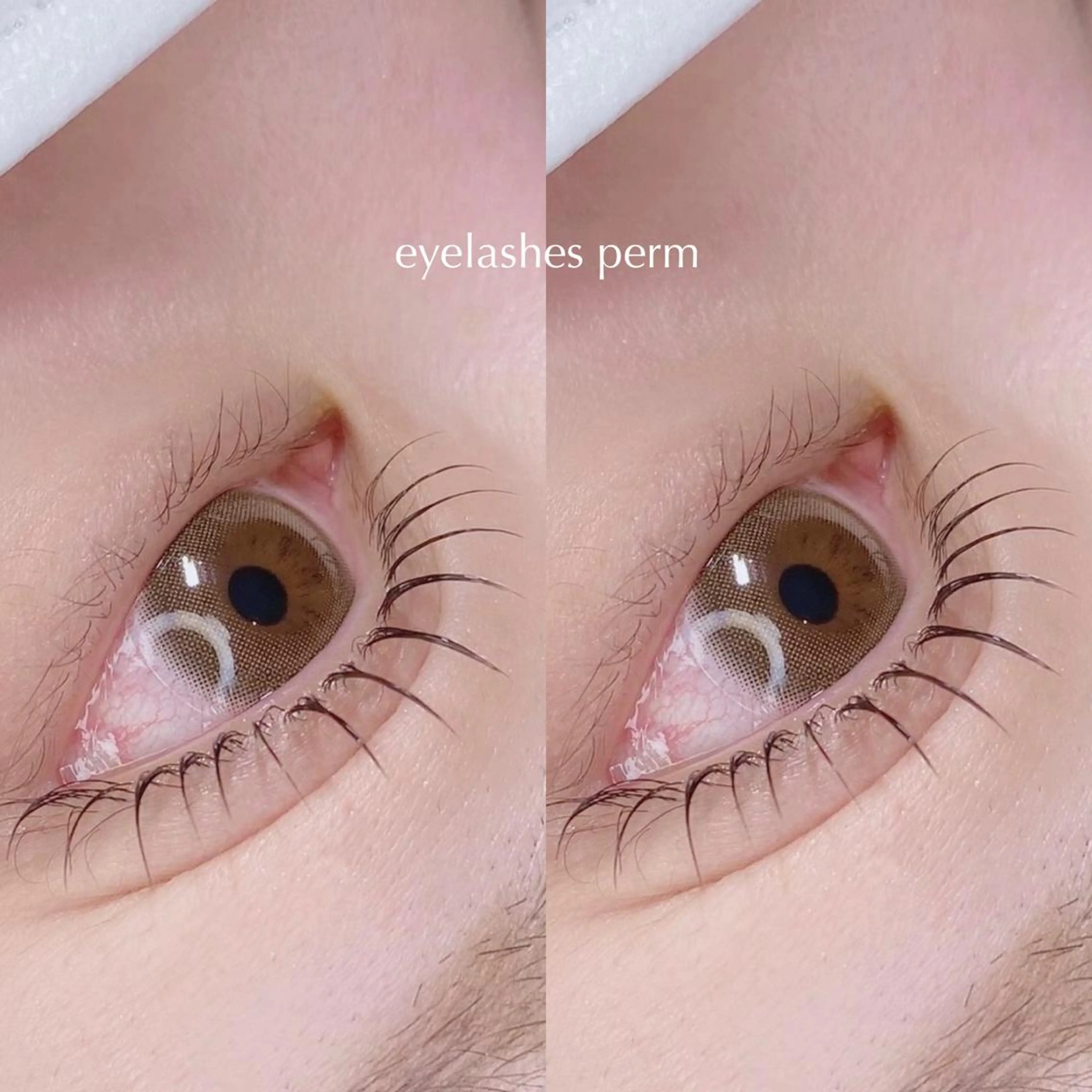 マツエク・マツパ マツパ Nancy所属・束感まつげ❤︎ あみのマツエク・マツパデザイン