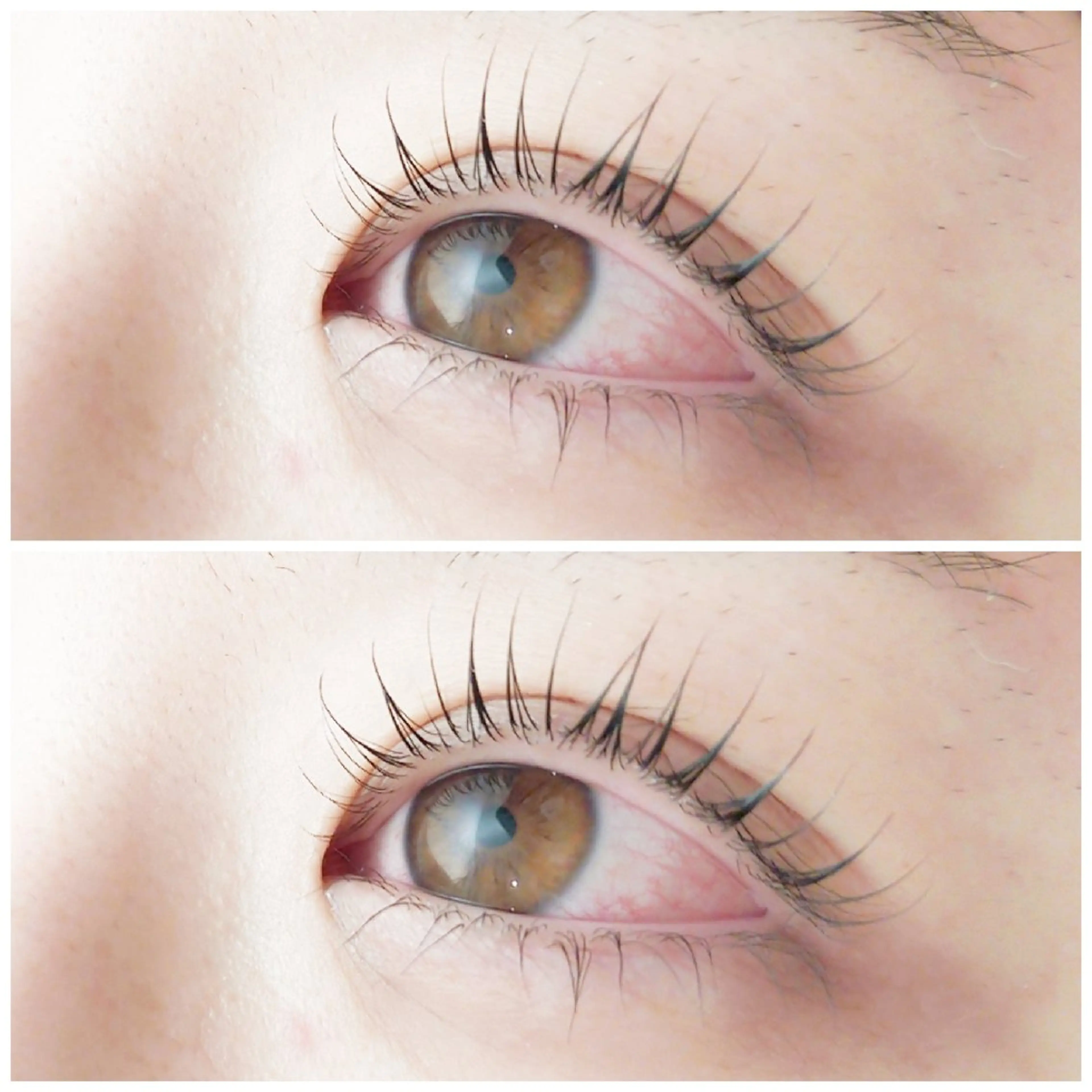 🤍上下まつげパーマ🤍の写真