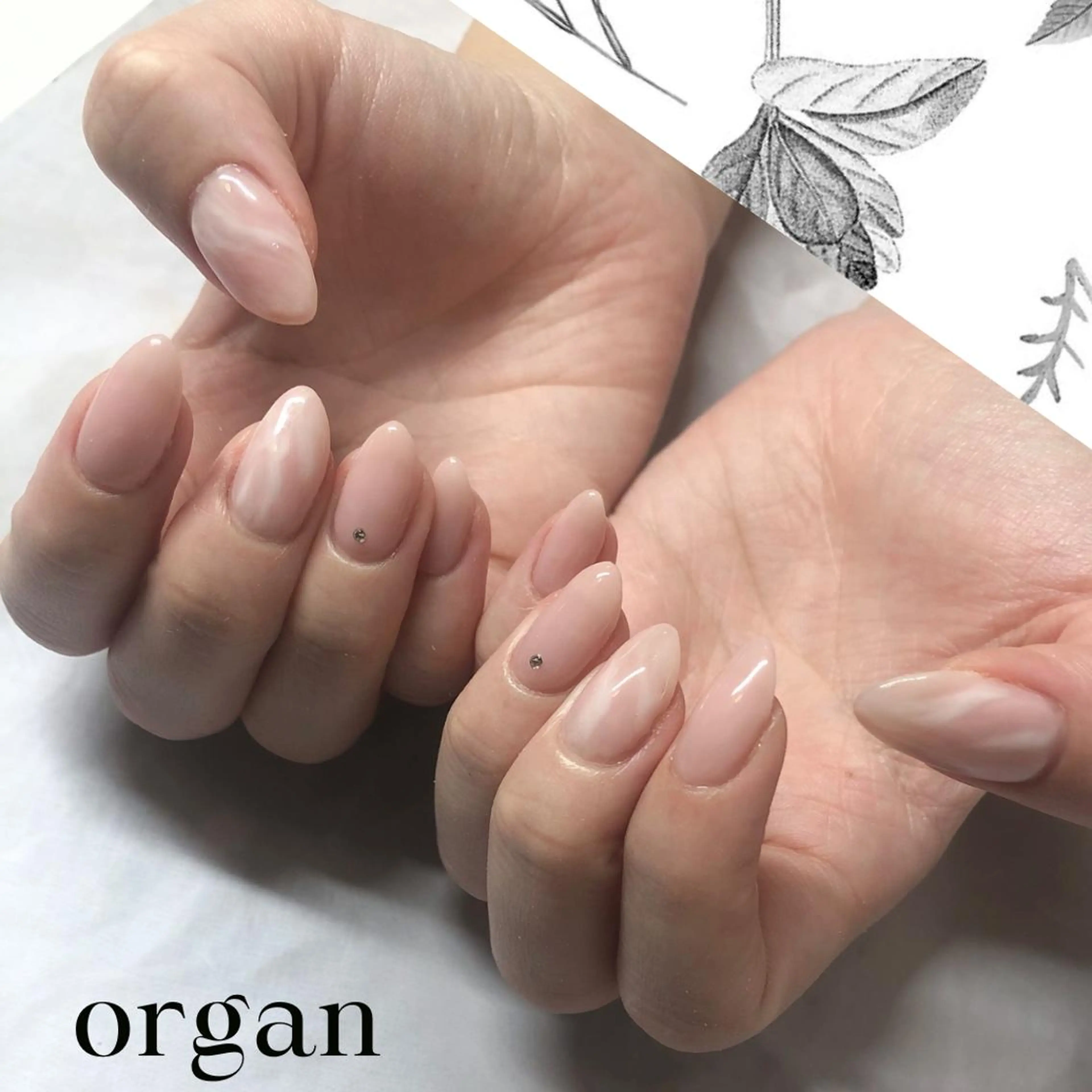 ネイル ニュアンスネイル 【ＯＲＧＡＮ】 nailのネイルデザイン