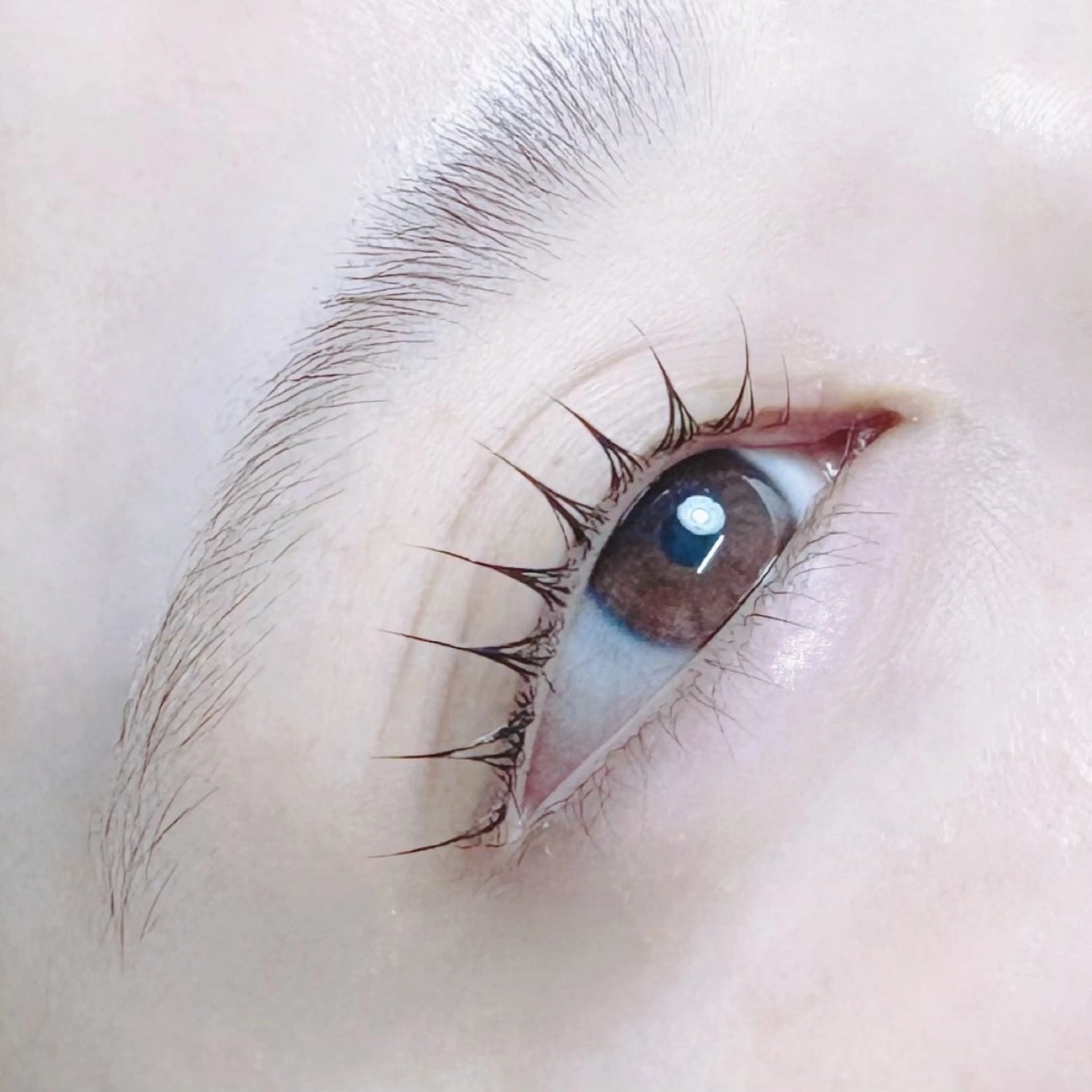 マツエク・マツパ KANOA manaのマツエク・マツパデザイン