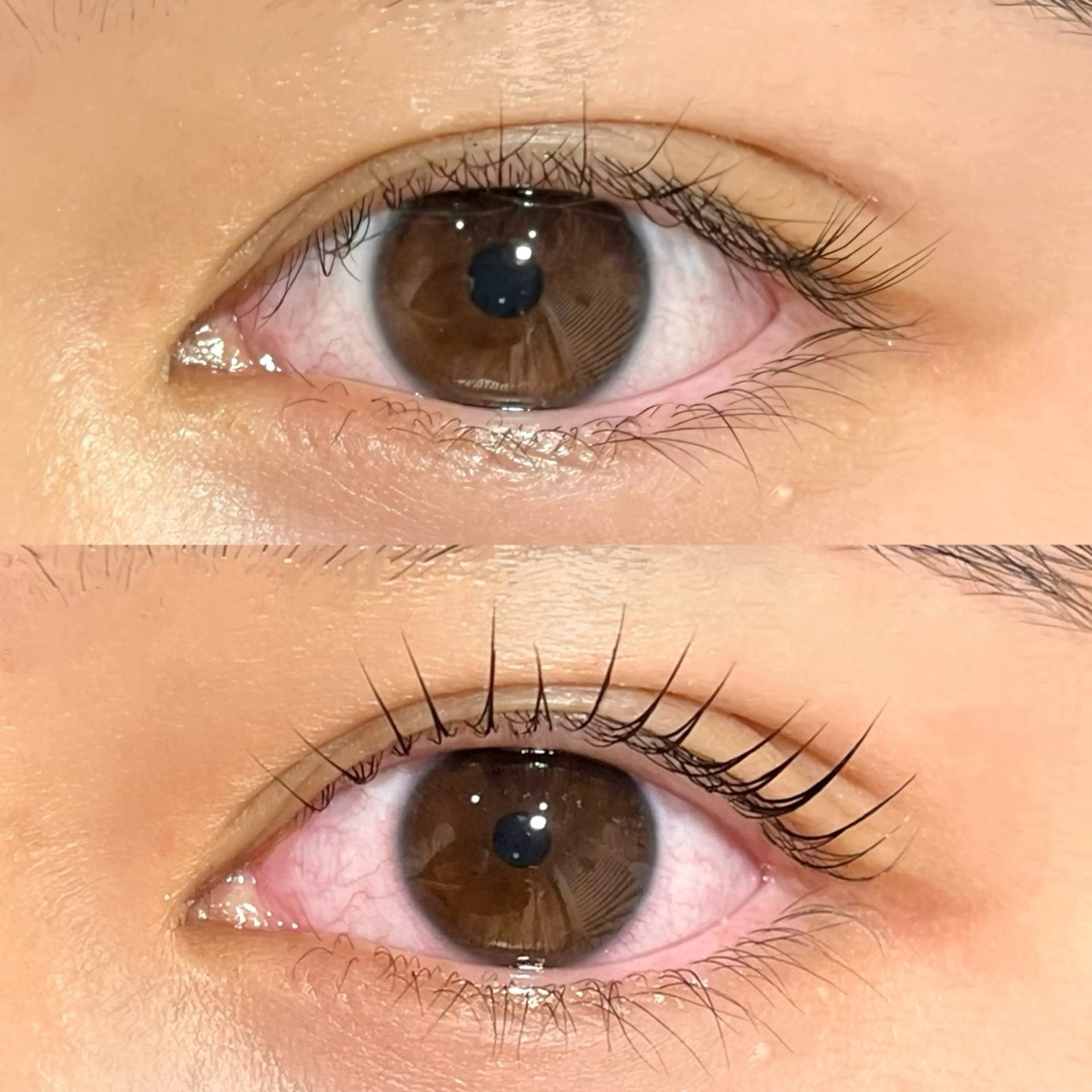 マツエク・マツパ Lカール パリジェンヌラッシュリフト まつげパーマ 縁と縁enn-to-yukari所属・金倉 彩乃のマツエク・マツパデザイン