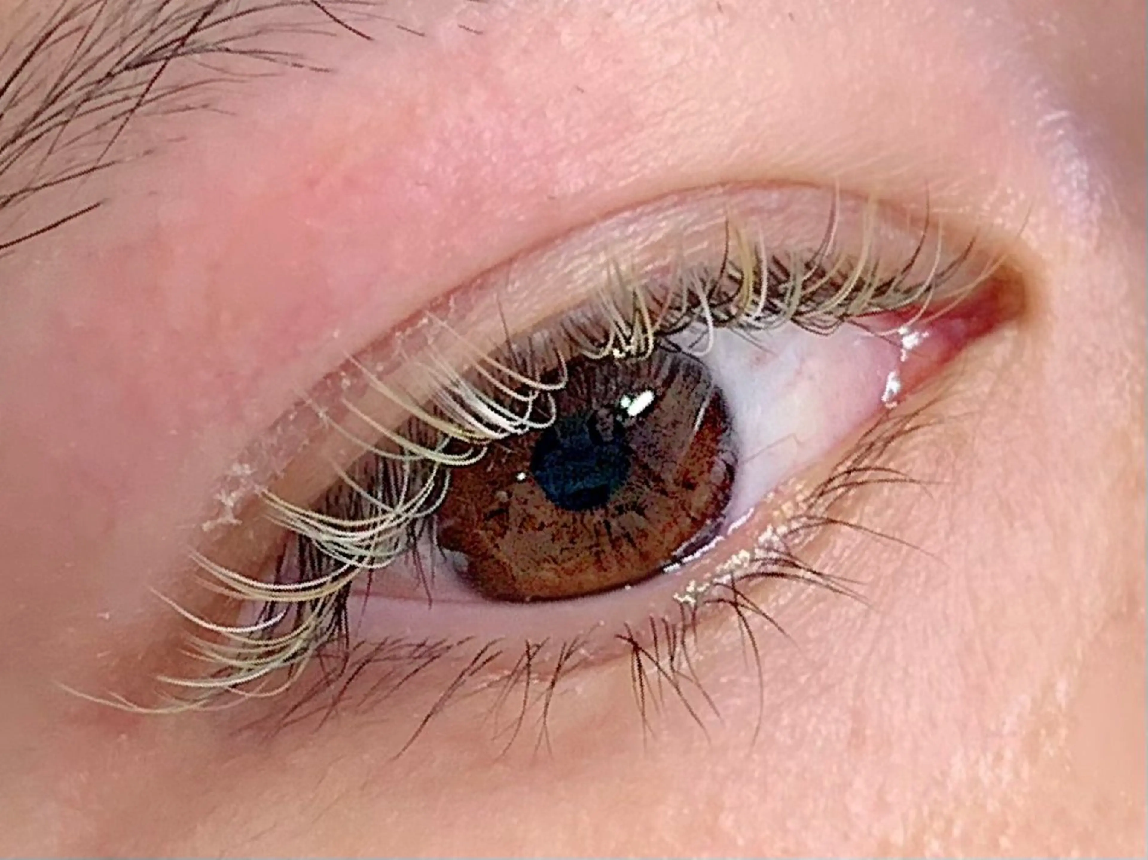 マツエク・マツパ Jr ﾈｲﾘｽﾄ yukiのネイルデザイン