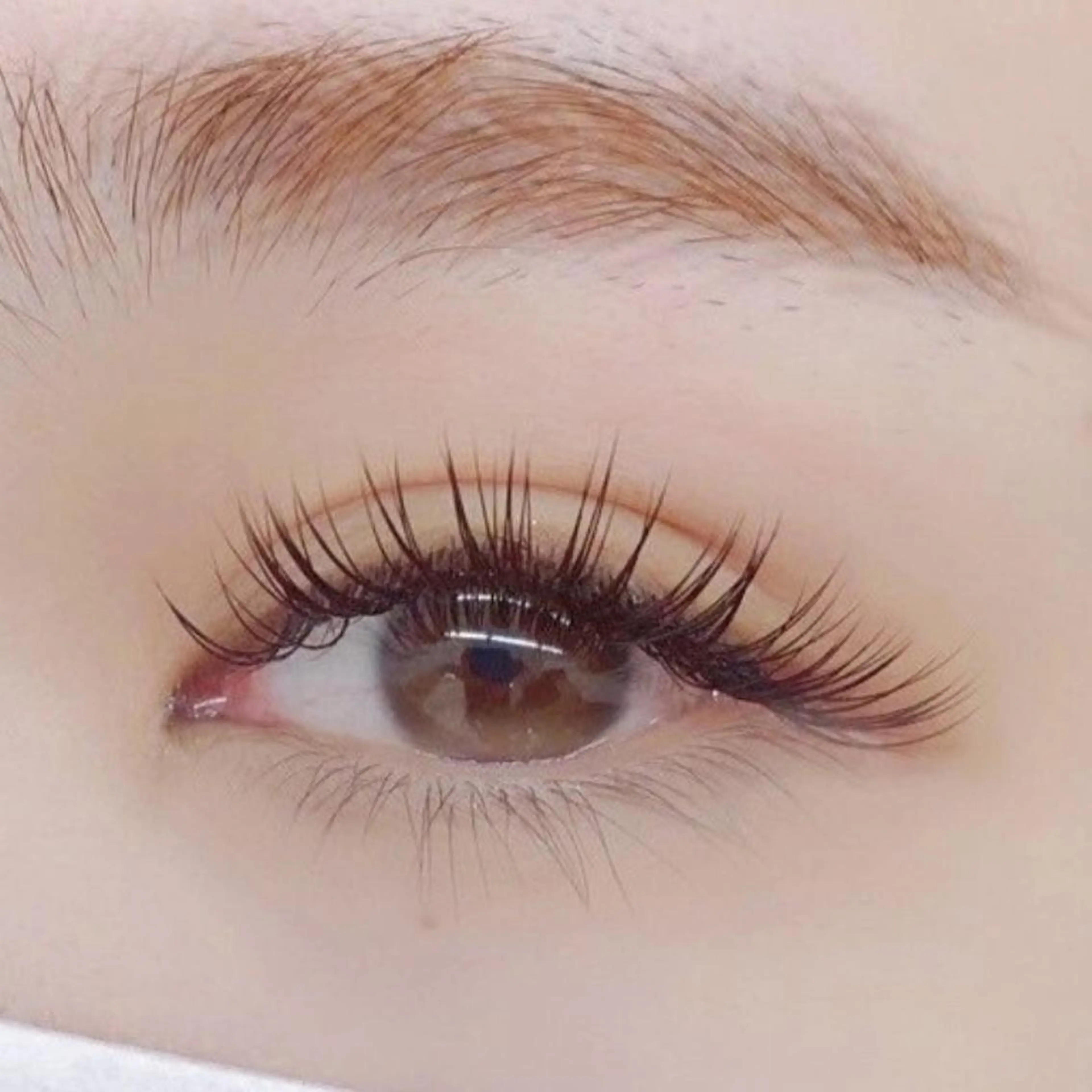 【モデル】まつエク1時間付け放題🌟🌟の写真