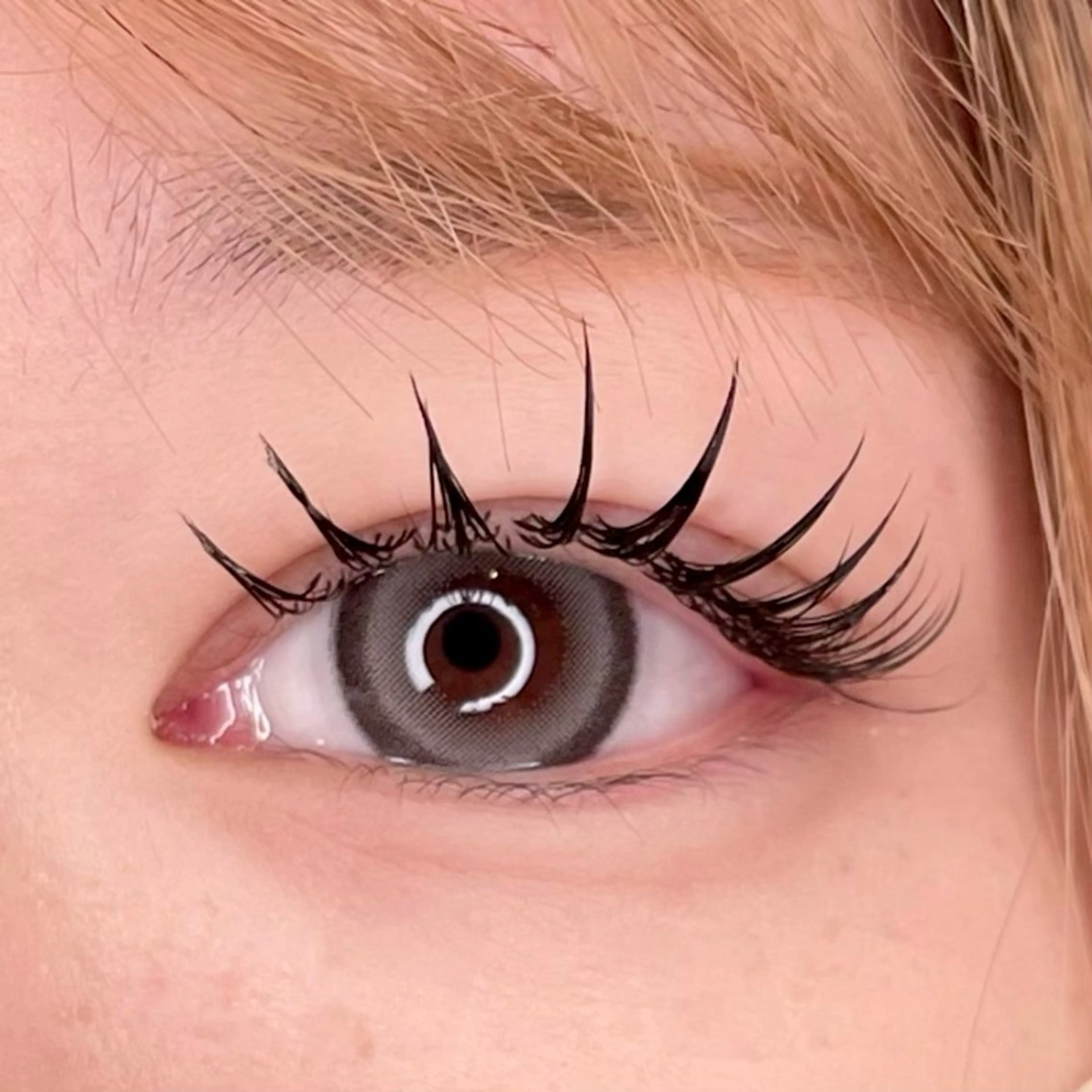 【🌱オフなし🌱】フラットラッシュ(マツエクシングル)80~120本の写真