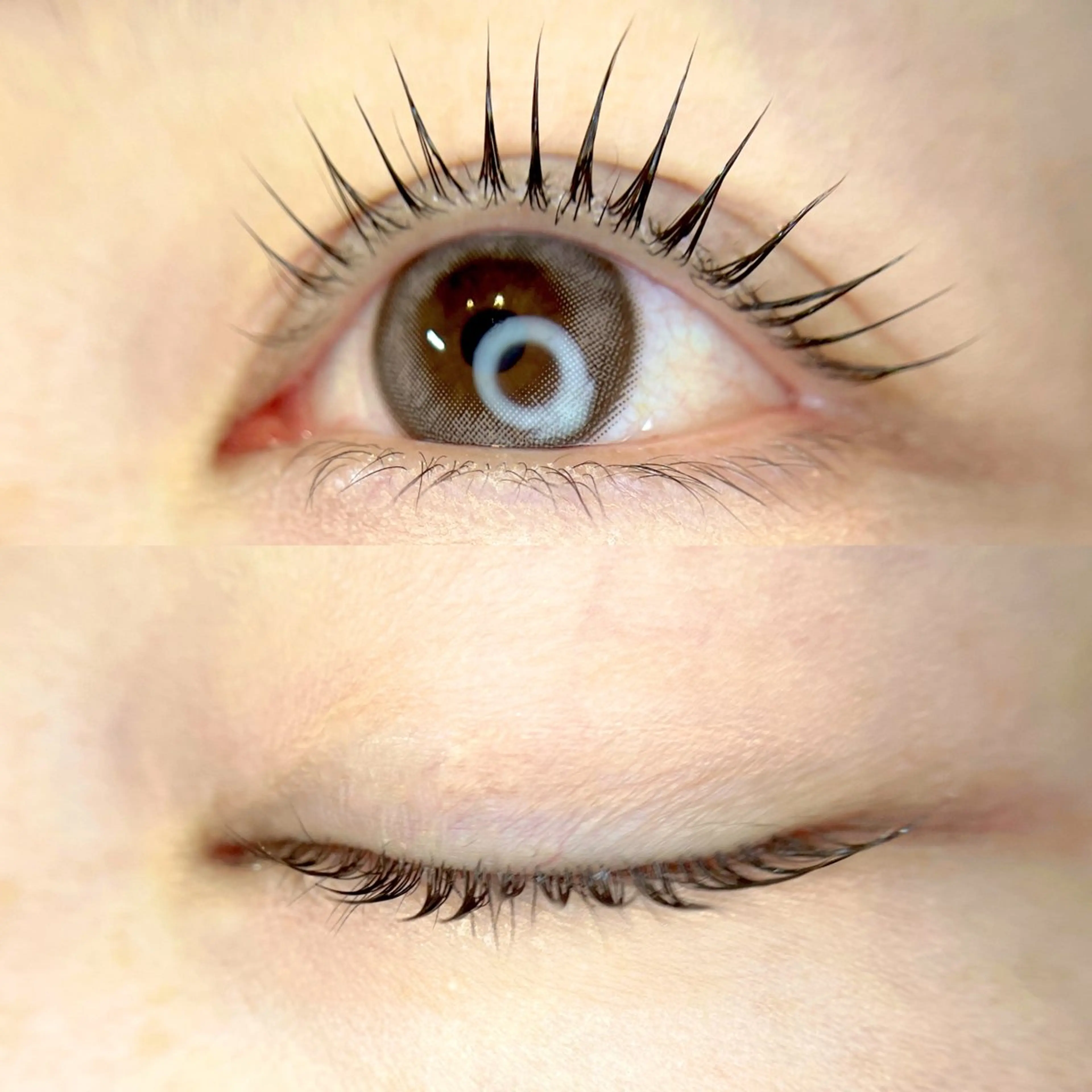 マツエク・マツパ ナチュラル パリジェンヌラッシュリフト まつげパーマ 一重×まつ毛パーマ 表参道eyelist KONOMIのマツエク・マツパデザイン