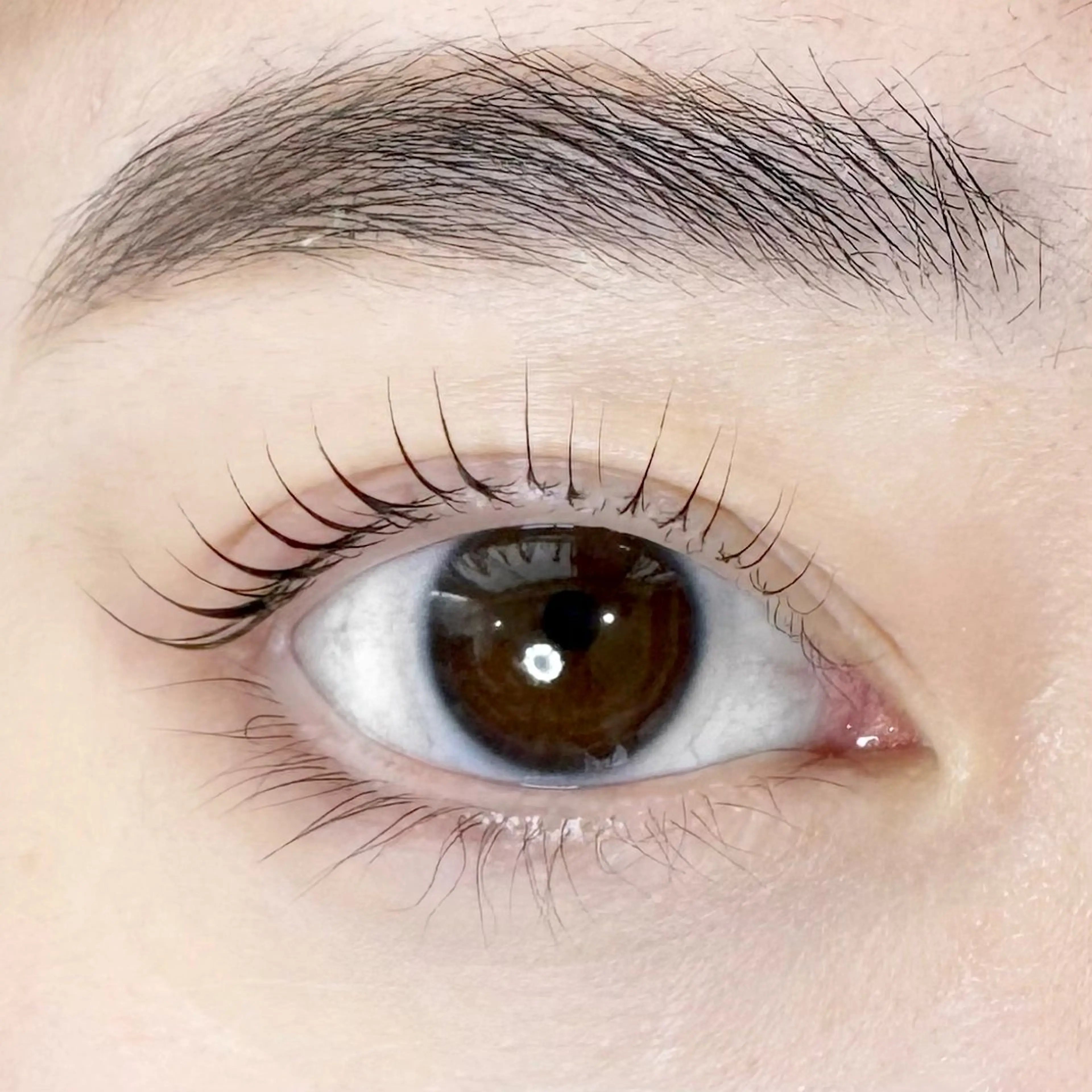 マツエク・マツパ 一重×まつ毛パーマ サロン ド フォース 西船橋店/伊藤のマツエク・マツパデザイン