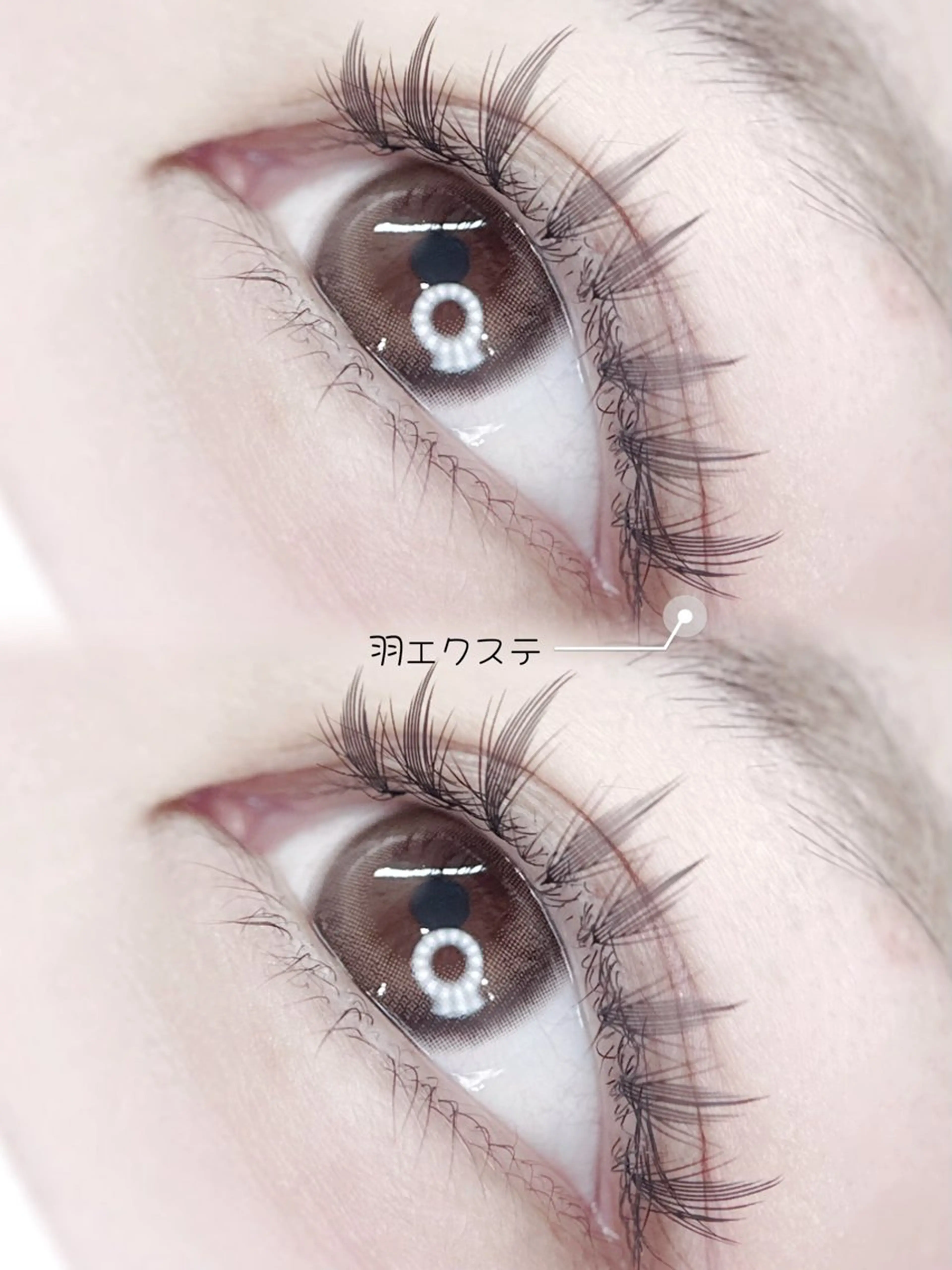 マツエク・マツパ マツエク MEME🐰 上本町/谷九のマツエク・マツパデザイン