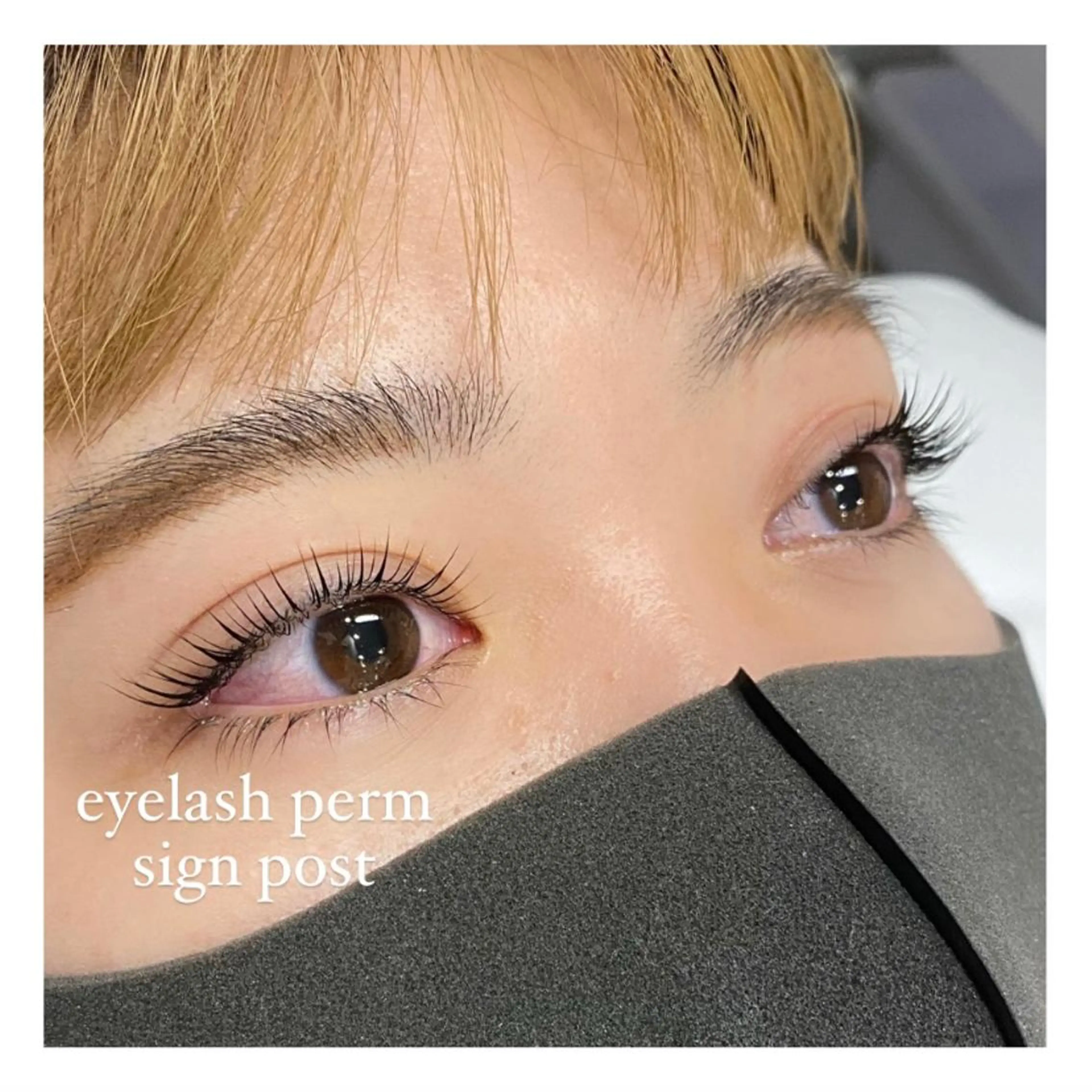 マツエク・マツパ signpost 田村の眉毛・アイブロウイメージ