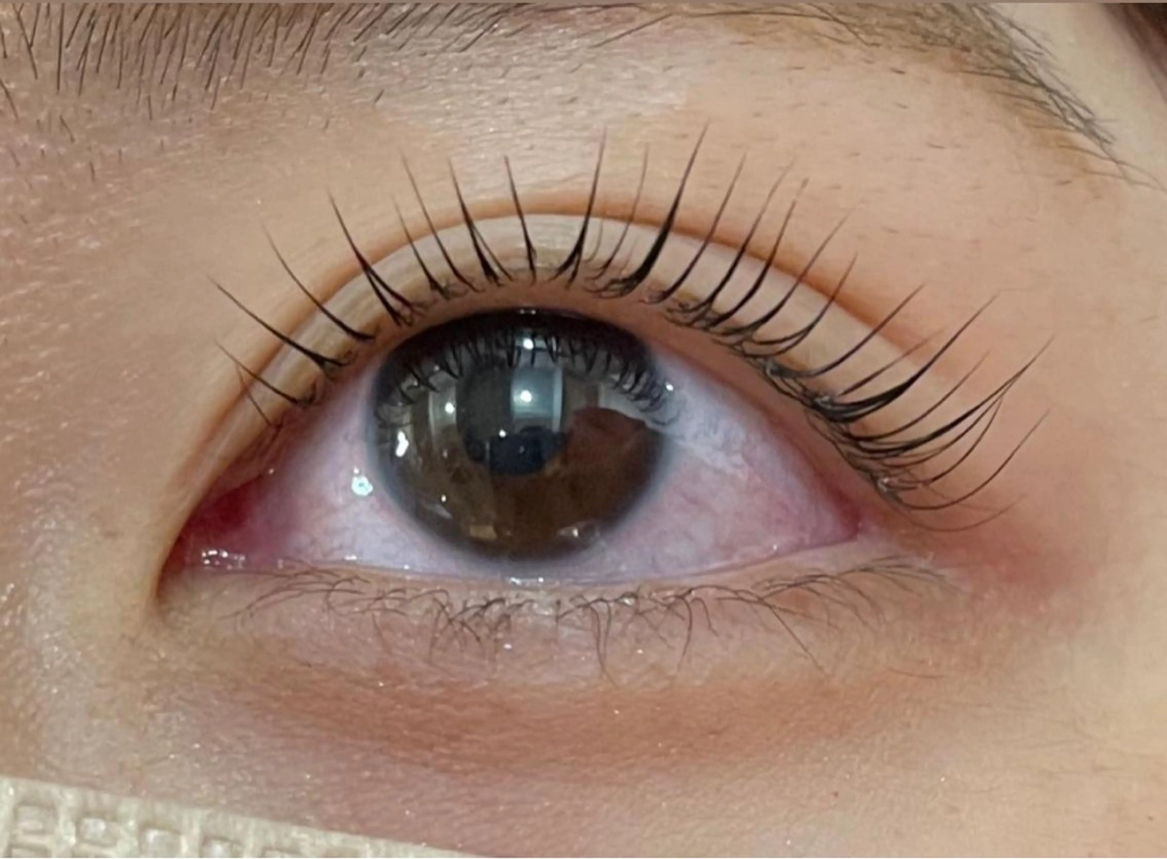 マツエク・マツパ マツパ マリーテレジア 🌻RUKAのマツエク・マツパデザイン