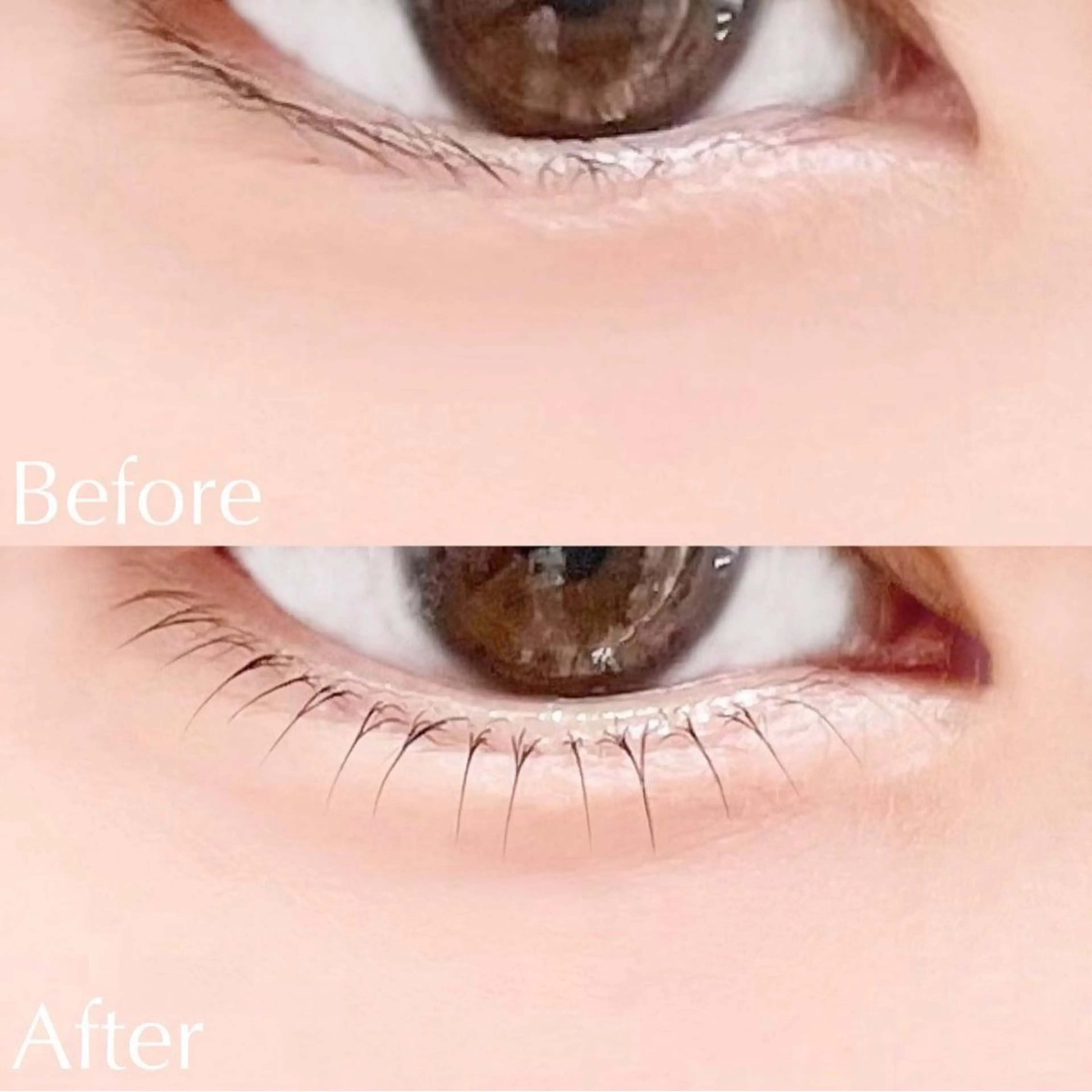 マツエク・マツパ usaginoo -ウサギノオ-所属・♡ usaginooのマツエク・マツパデザイン