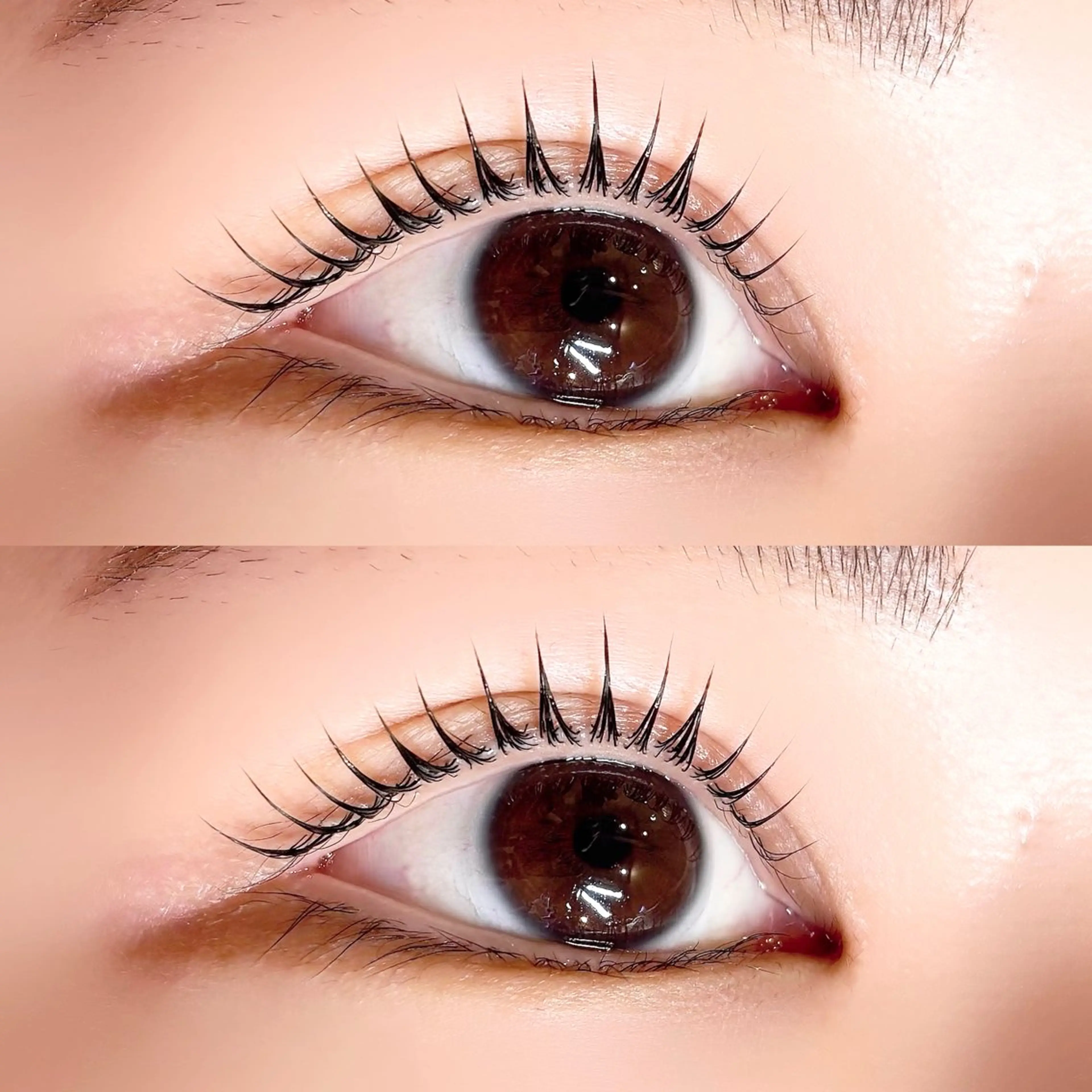 マツエク・マツパ マツパ Pupu lash所属・Pupu lash 2のマツエク・マツパデザイン