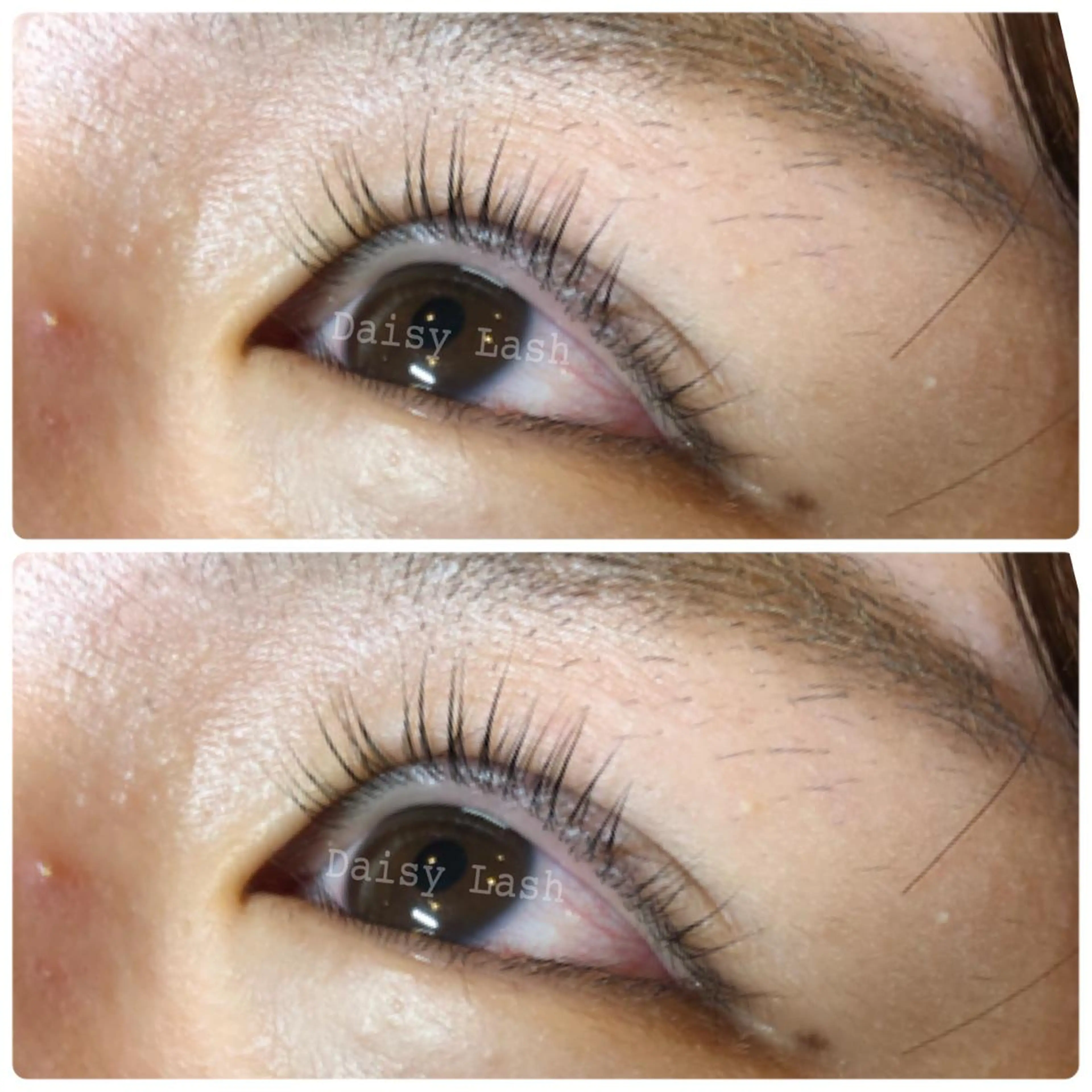 マツエク・マツパ パリジェンヌラッシュリフト Daisy Lash 梅田本店のマツエク・マツパデザイン