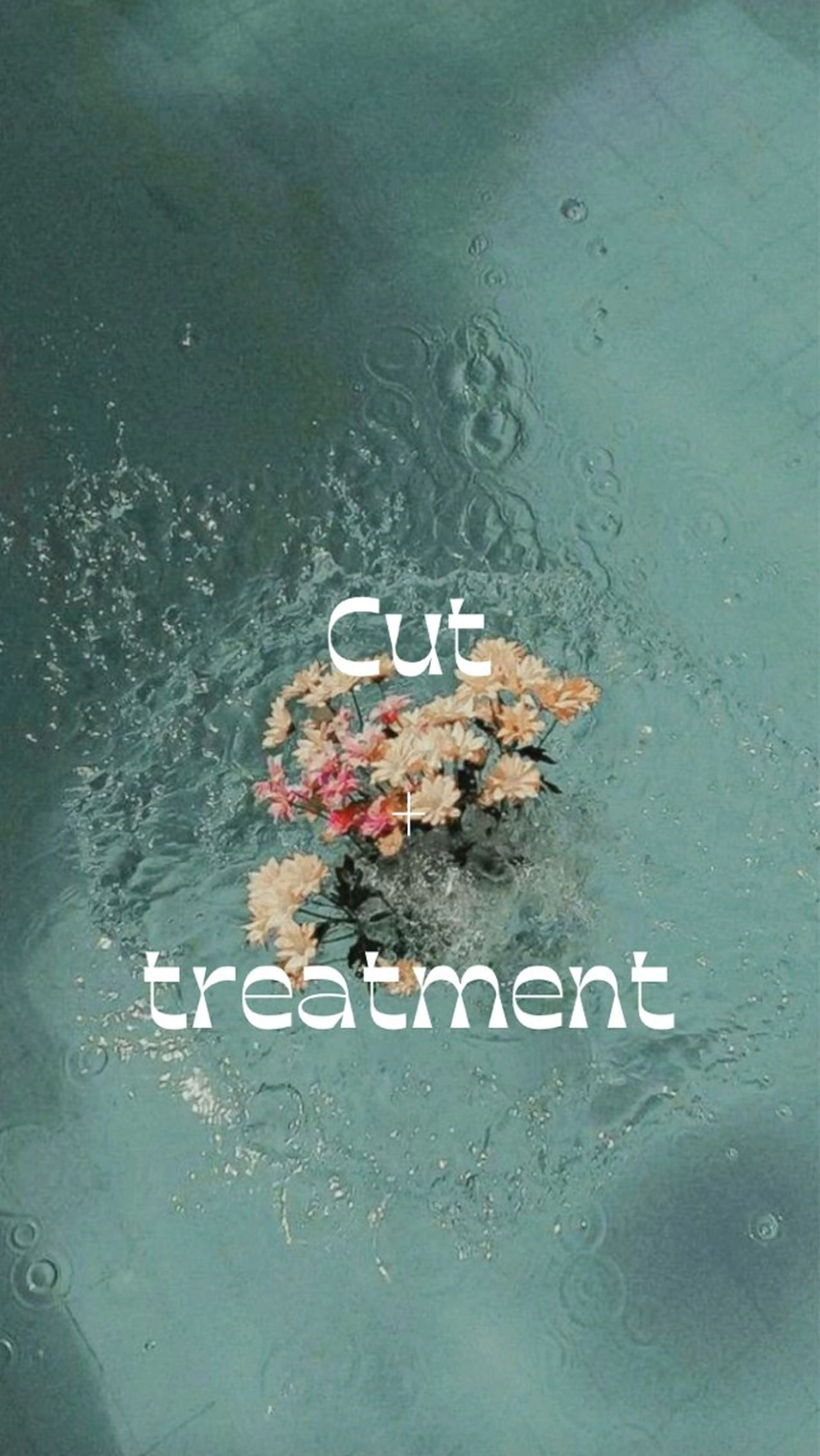 <営業後限定❗️>似合わせレイヤーカット＋髪質改善トリートメントの写真