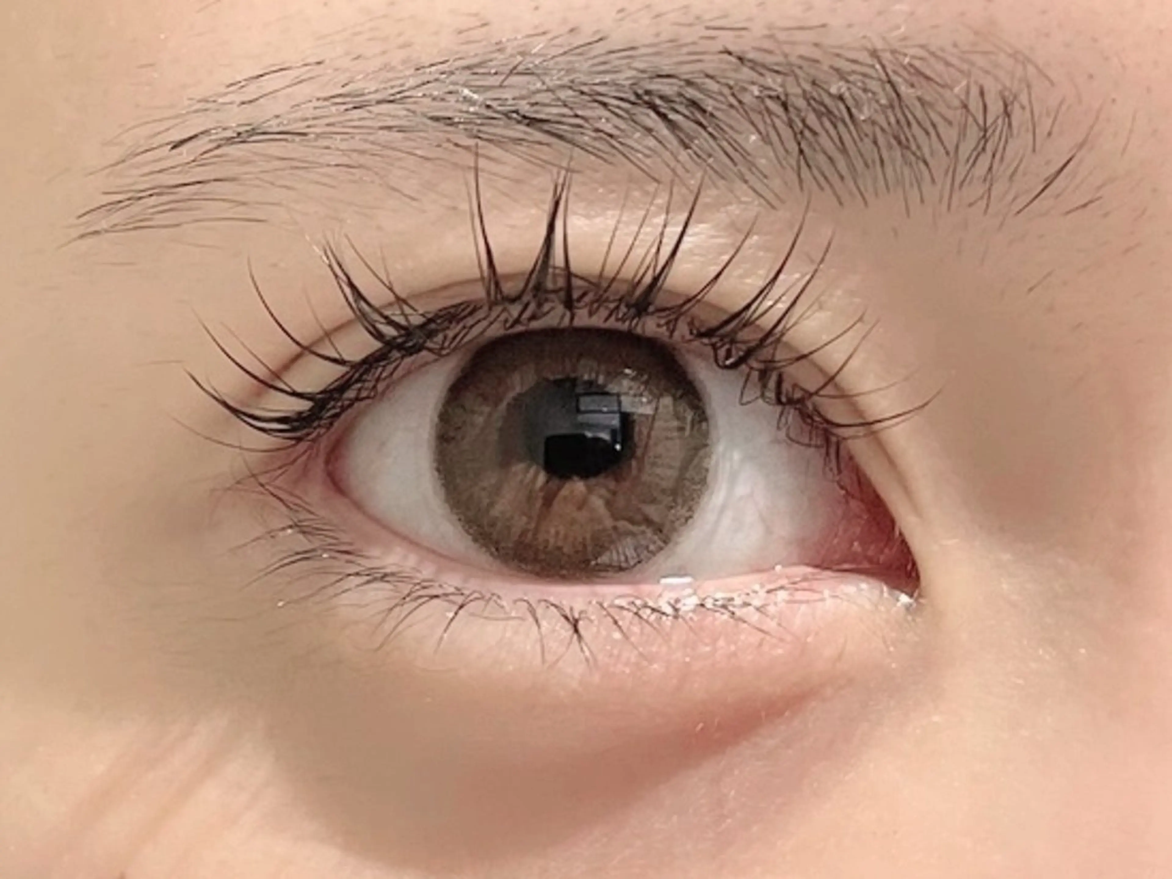 マツエク・マツパ ケラチンラッシュリフト 一重×まつ毛パーマ ネイル＆まつ毛パーマ マニネイル碑文谷店のネイルデザイン