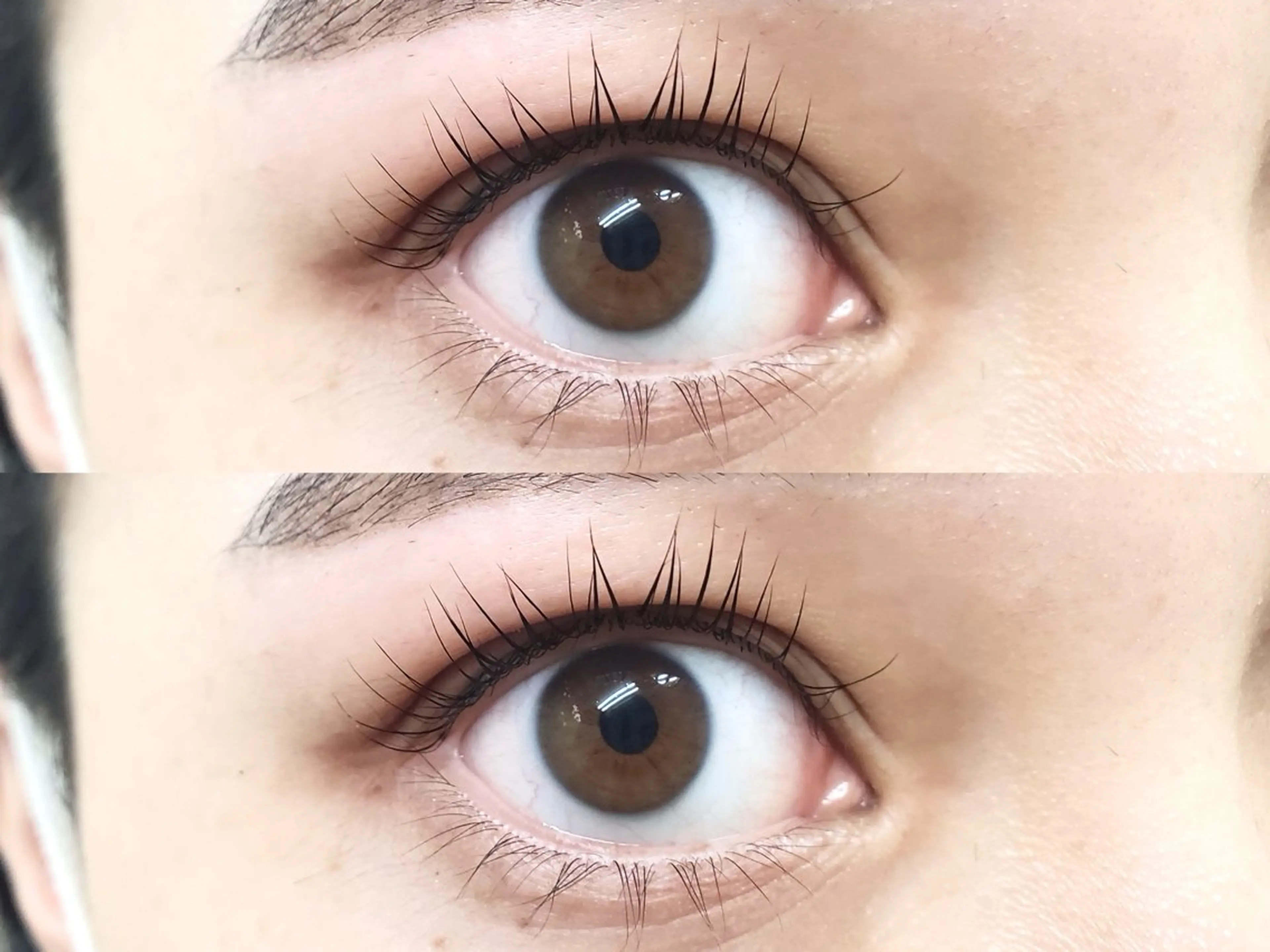 10時から限定⭐︎パリジェンヌorラッシュリフト 3480円の写真