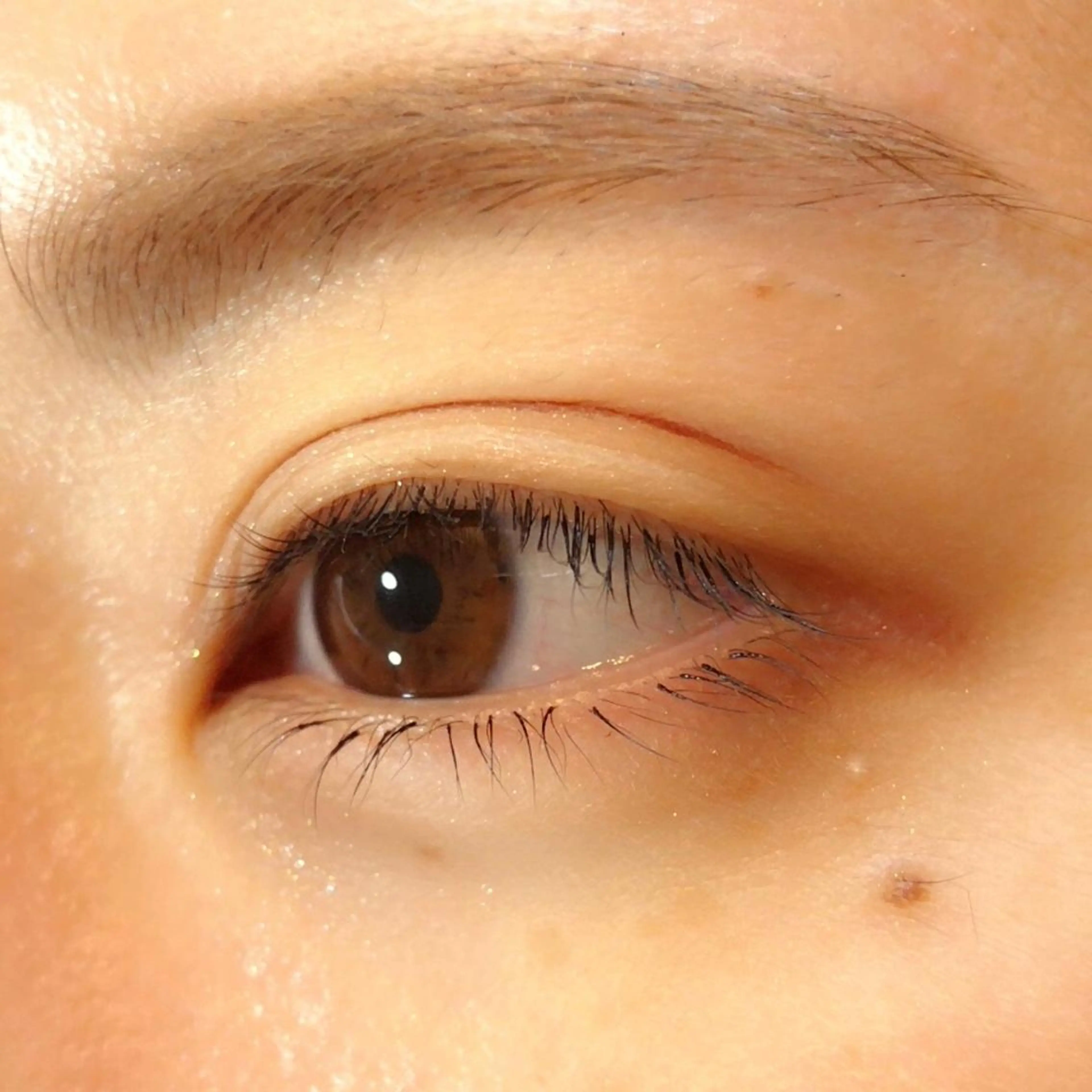 ショート カラー パーマ メンズ キッズ ネイル マツエク・マツパ 下まつげエクステ オフィスネイル マツエク 地域 No. 1店 nail&eyelash Liliana所属・ベテランのお店です 🍓.Lilianaのマツエク・マツパデザイン