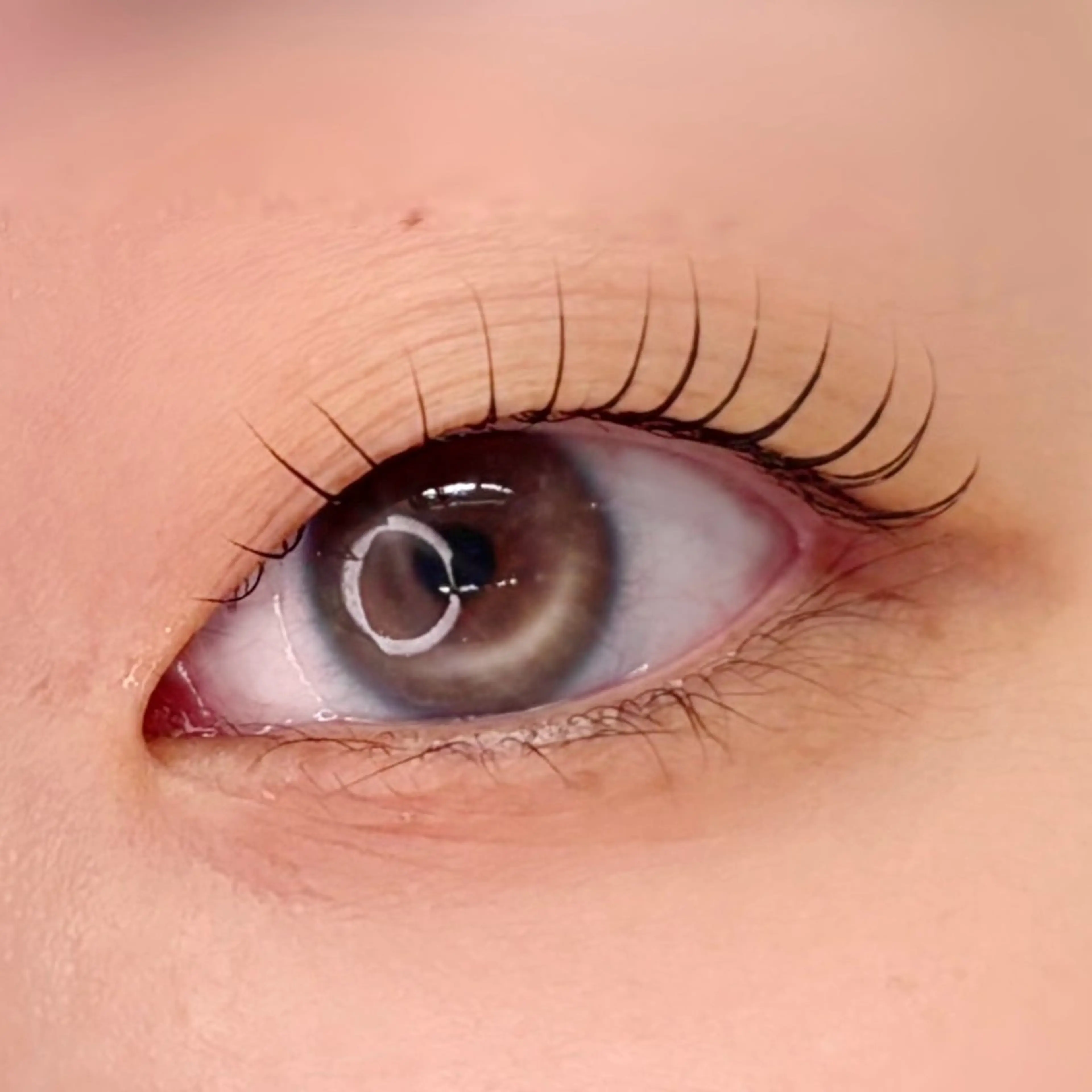 マツエク・マツパ 一重×まつ毛パーマ 【一重┊︎奥二重】 YOSHIDA🌙のマツエク・マツパデザイン