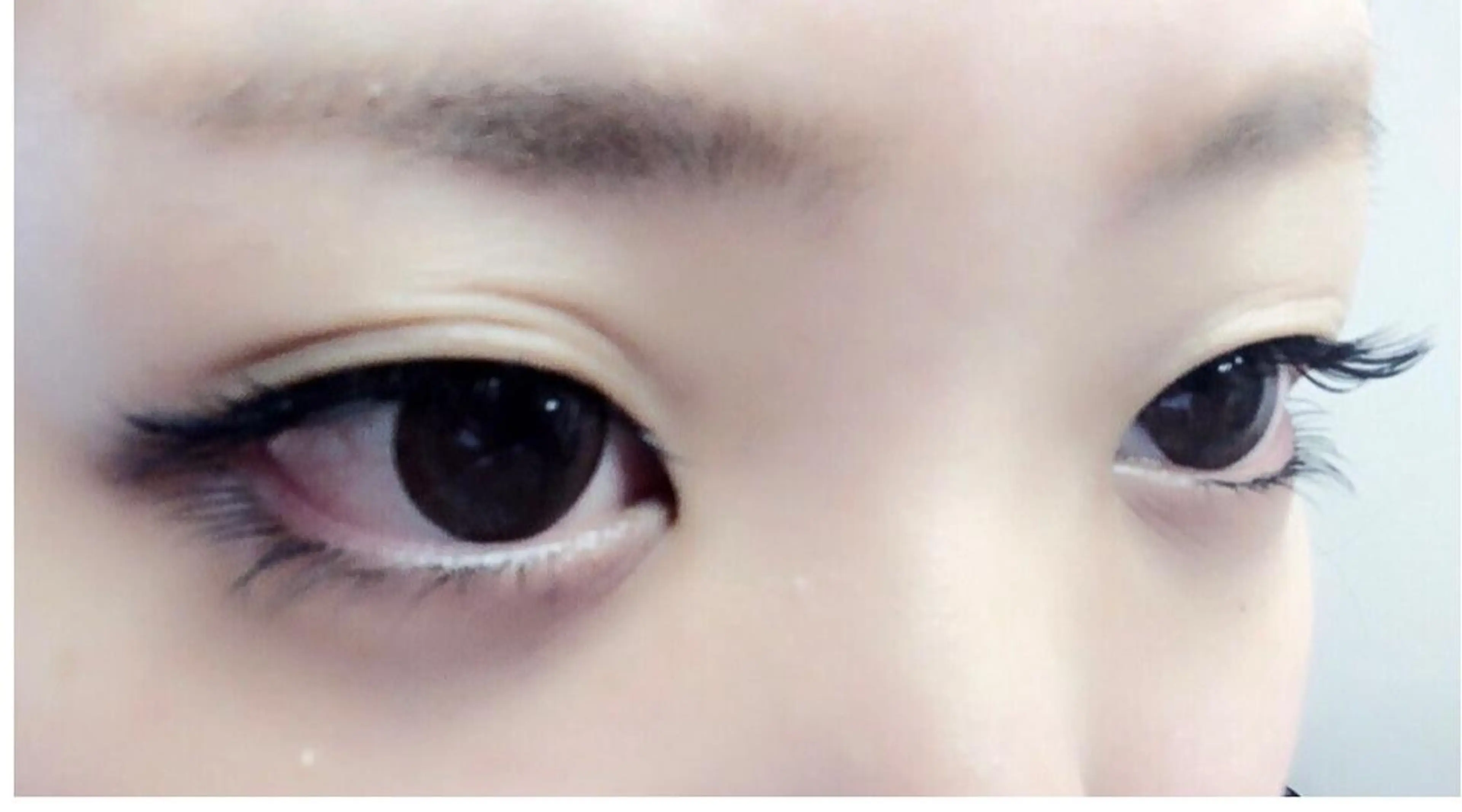 高級プラチナセーブル（下）両目40本の写真