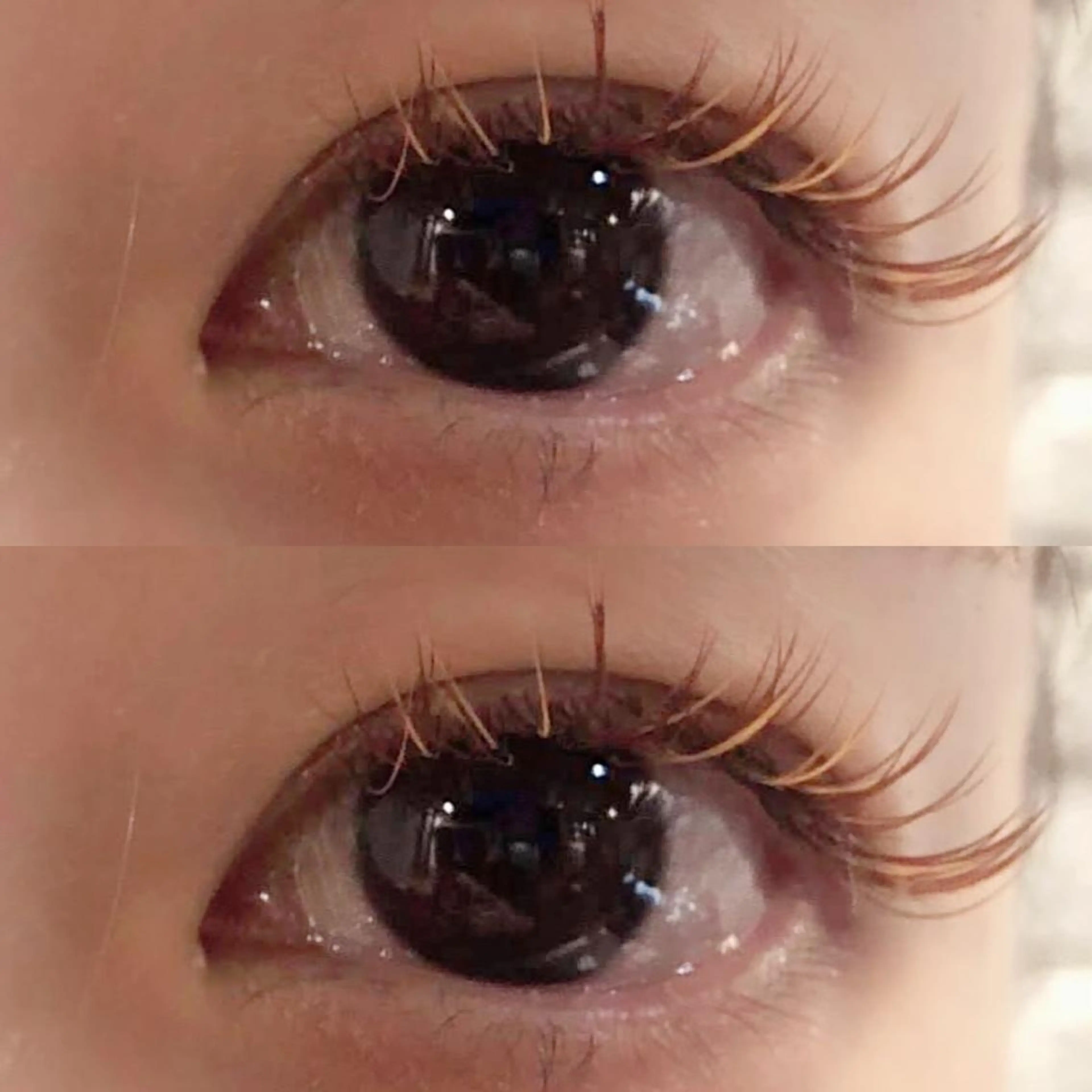 マツエク・マツパ CHIHO💚羽エク /マツエクのヘアスタイル