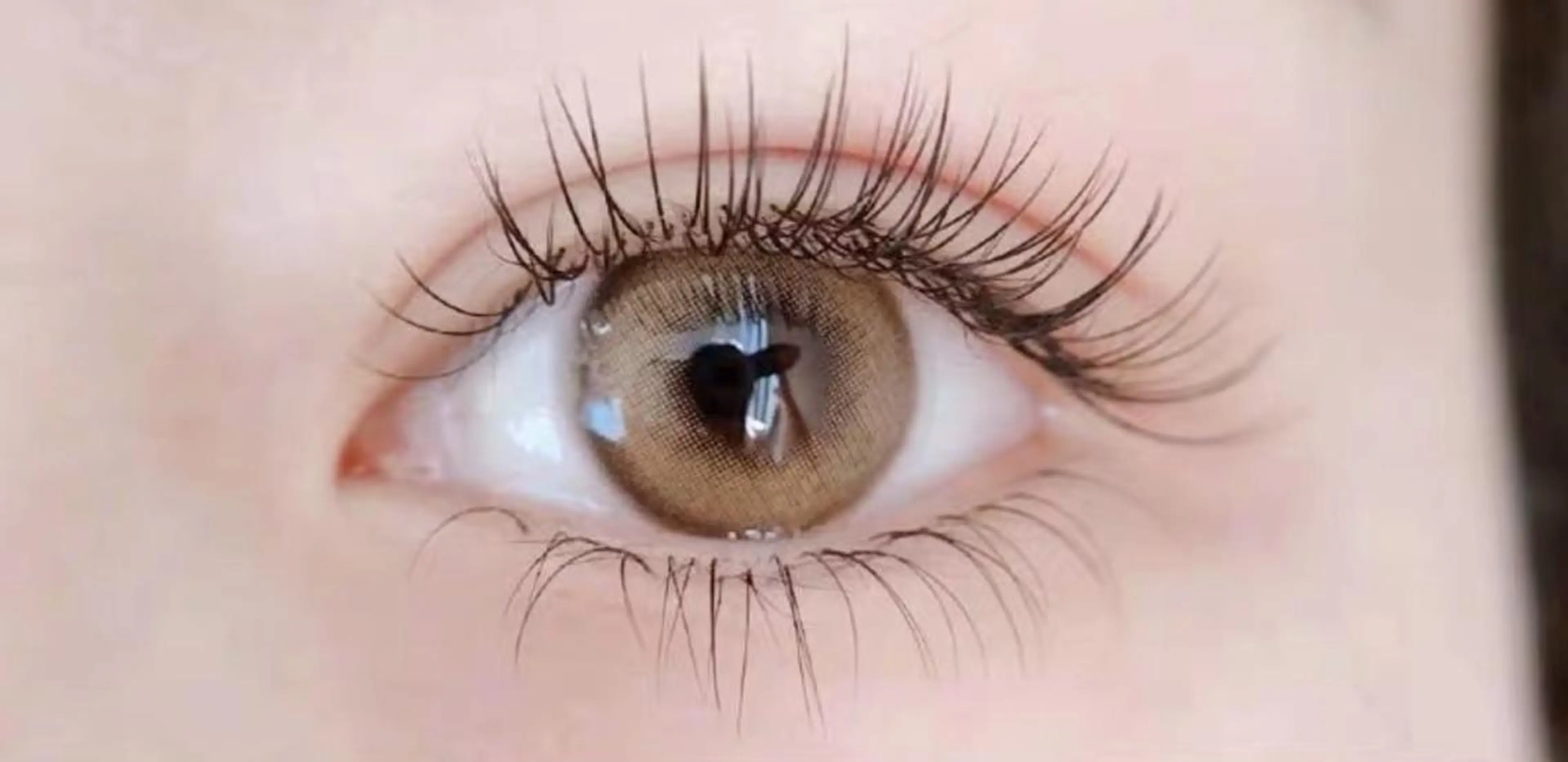 マツエク・マツパ マツエク Cute beauty2のマツエク・マツパデザイン