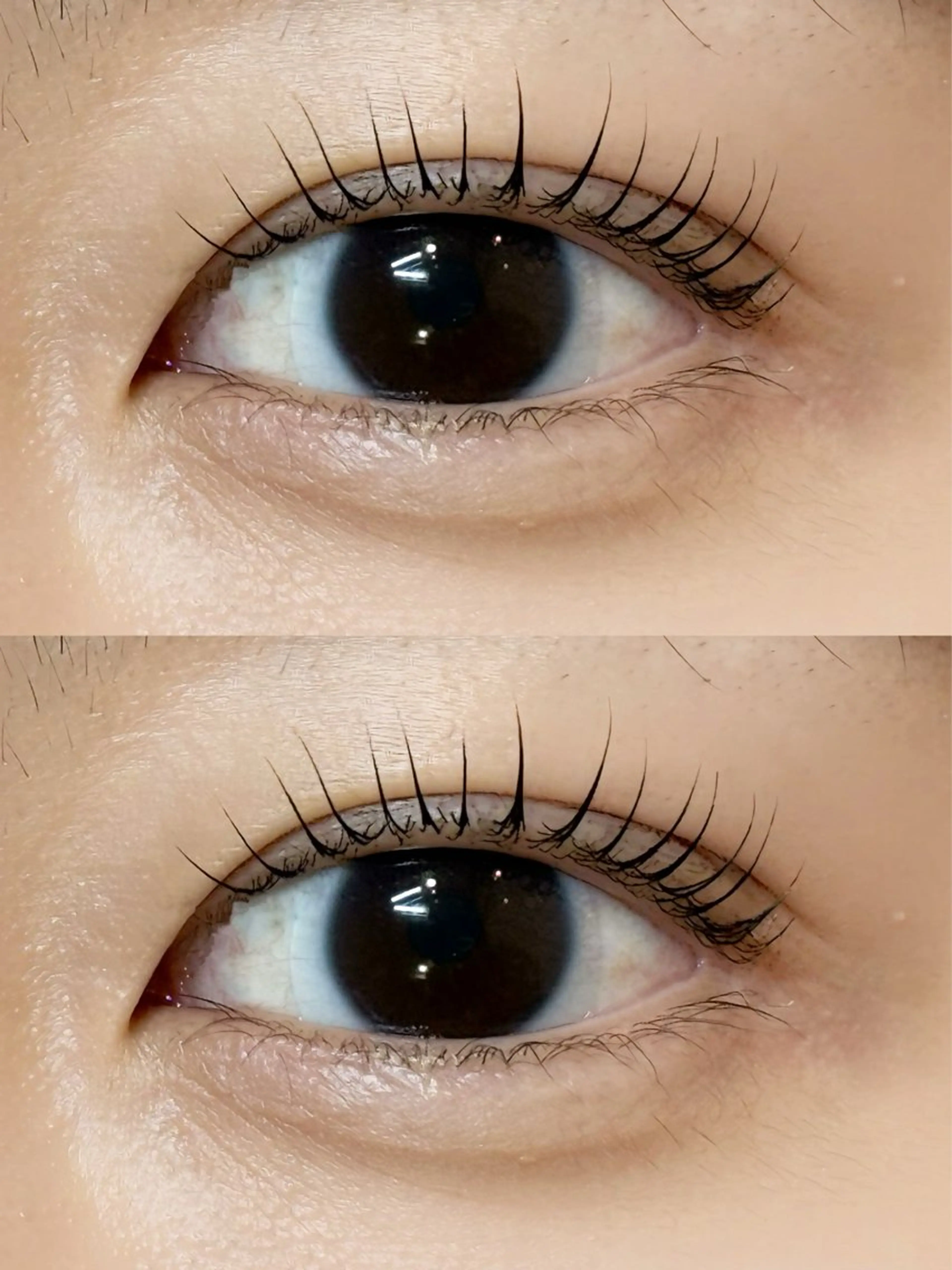 ãããšã¯ã»ããã ããã ðð¢ð ð¡ð yuzukið«§ã®ãããšã¯ã»ããããã¶ã€ã³