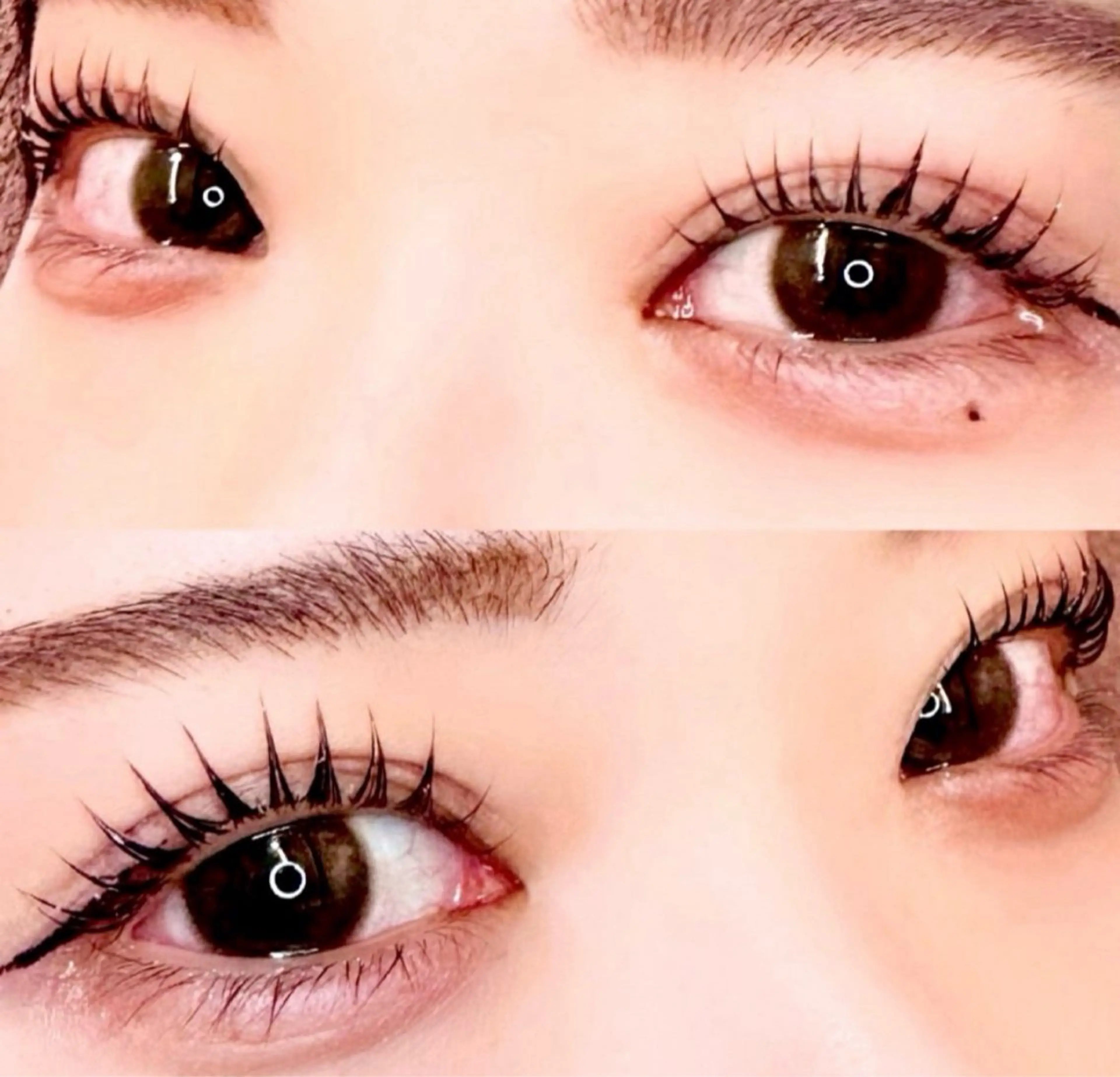 マツエク・マツパ マツパ 🦖fein. YUINA🦕⋆͛のマツエク・マツパデザイン