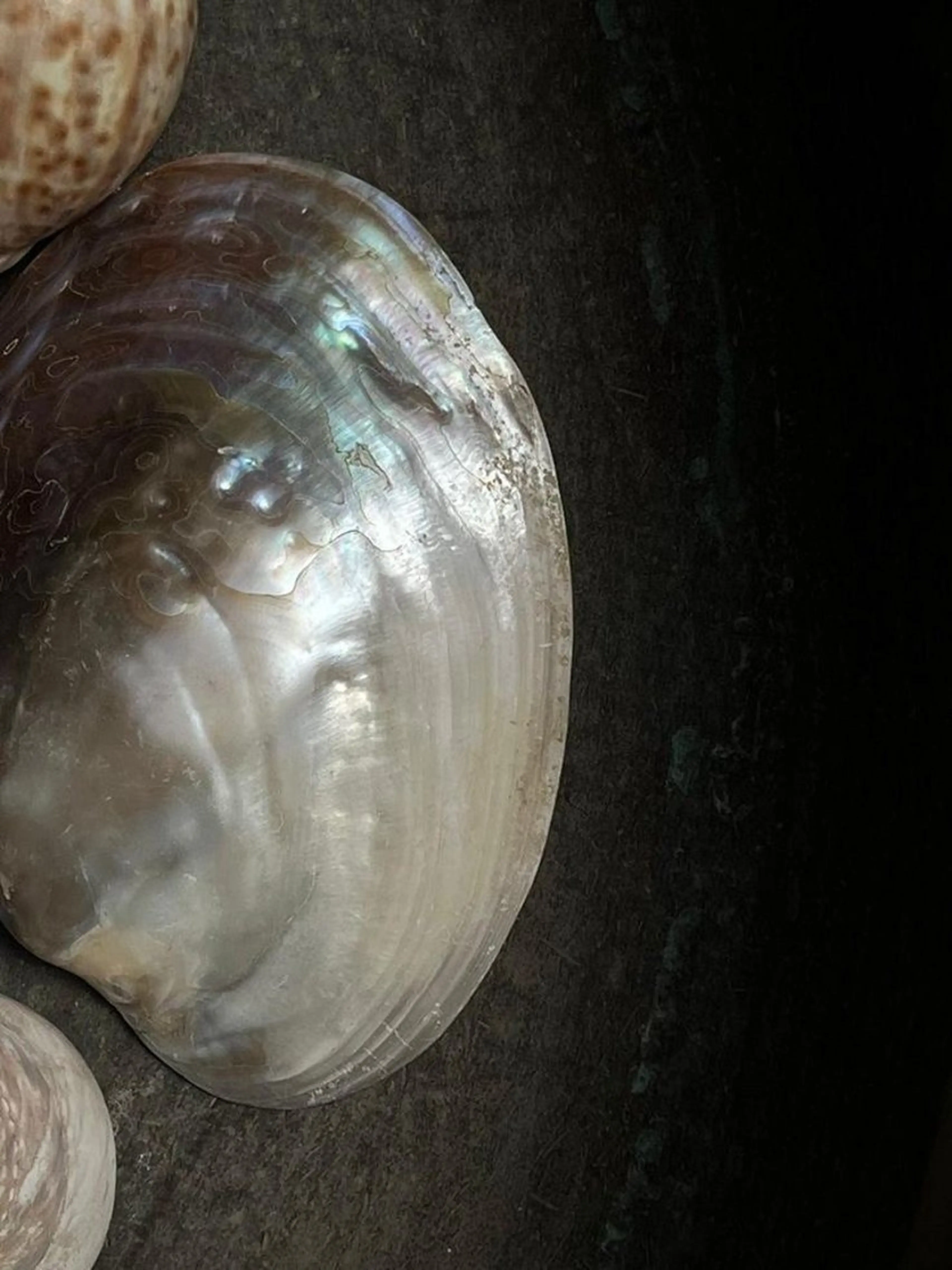 ネイル rina🎀 ご新規様受付中🌷のネイルデザイン