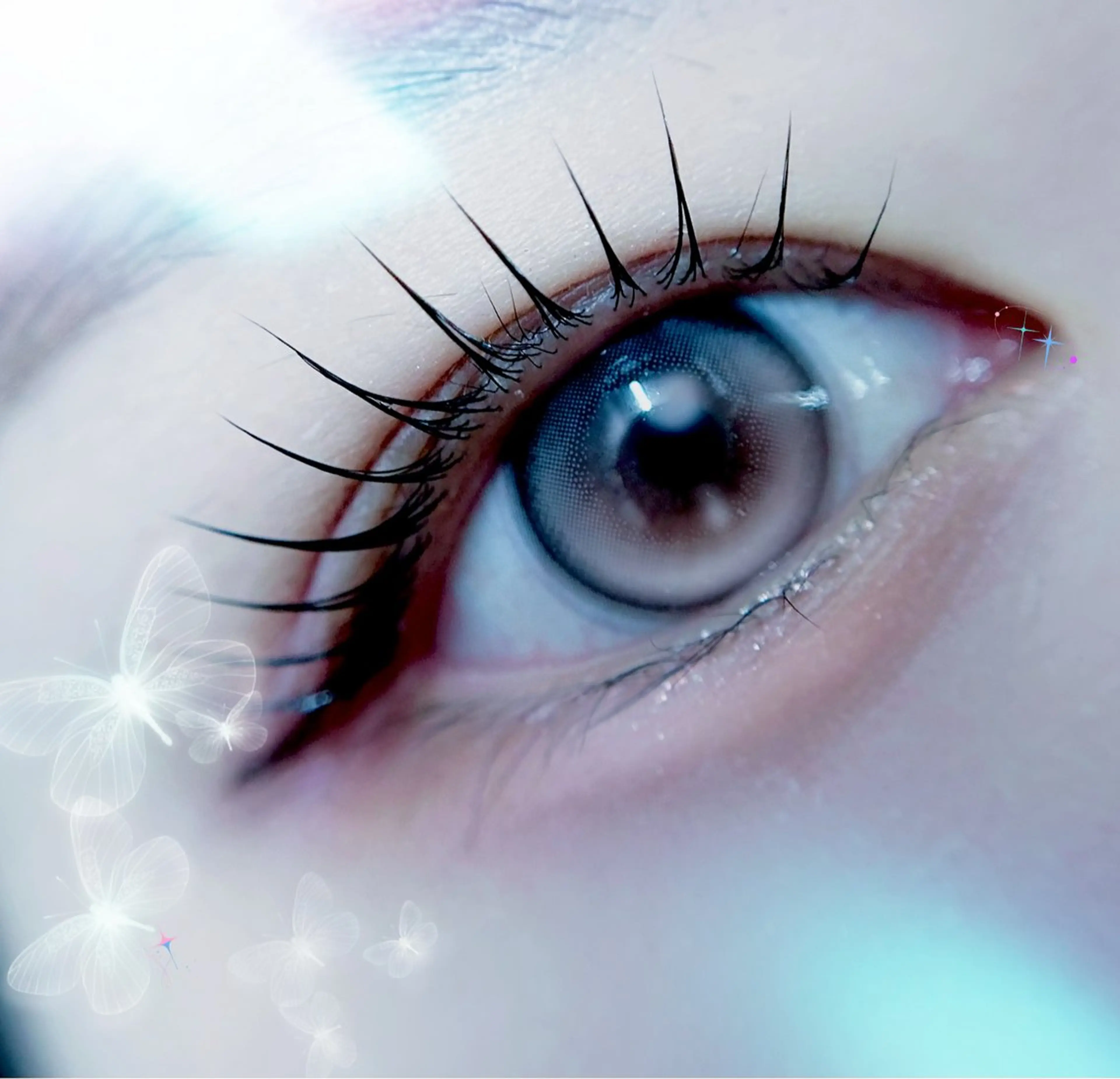 マツエク・マツパ パリジェンヌラッシュリフト マツパ eyelist. mizuki🐈‍⬛のマツエク・マツパデザイン