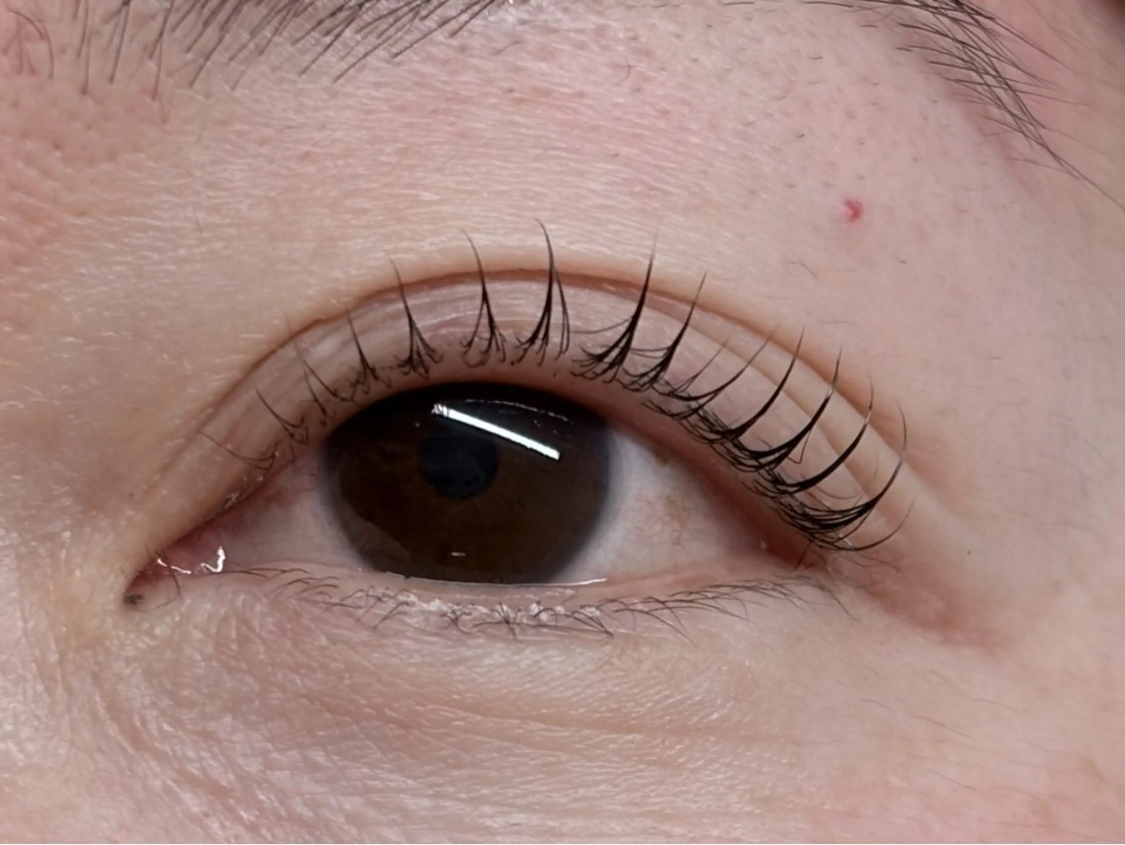 マツエク・マツパ トータルビューティー サロン・Ｎの眉毛・アイブロウイメージ