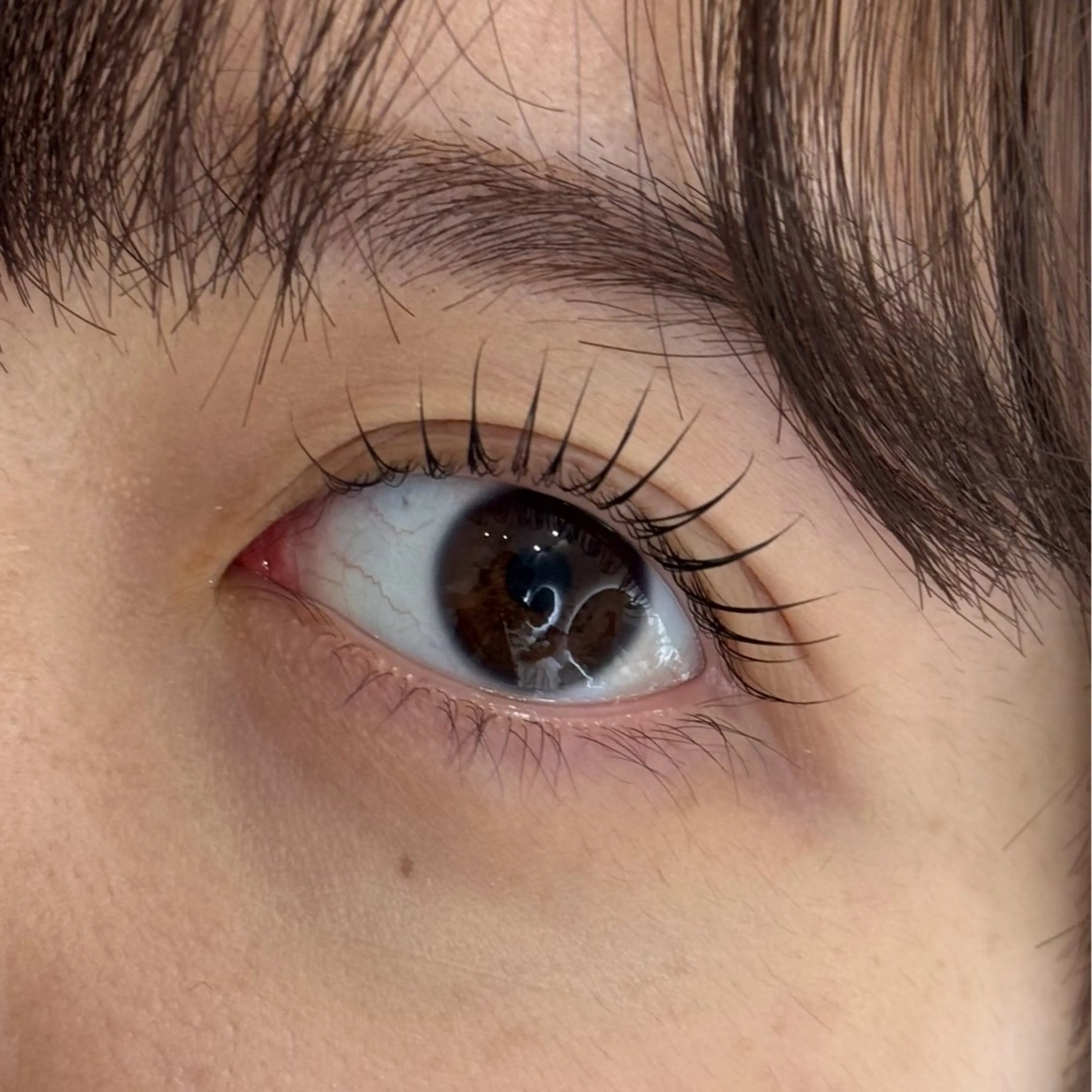 上下まつげパーマ パリジェンヌラッシュリフトor似合わせパーマの写真