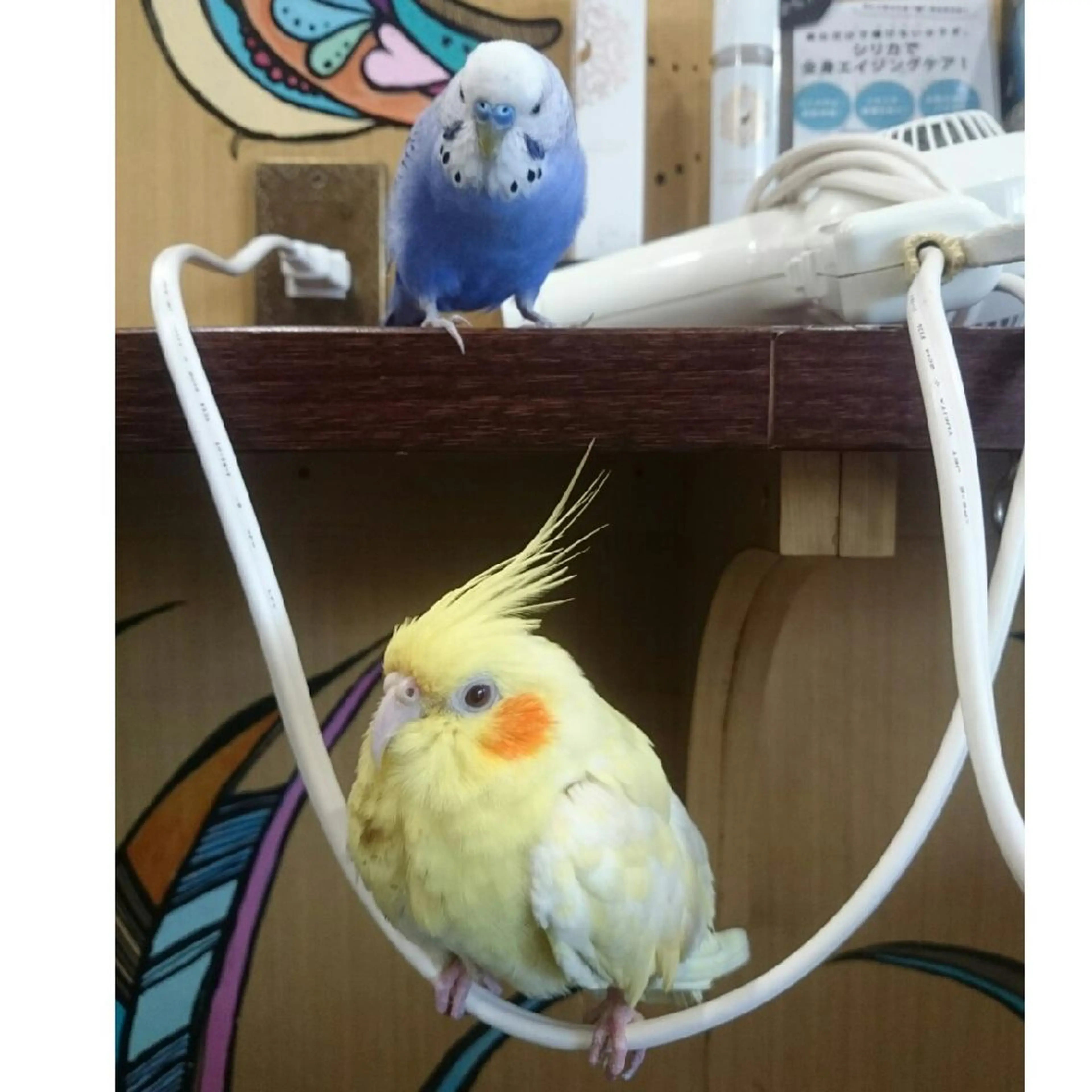 カラー パーマ ヘアアレンジ ネイル キッズ メンズ Hair salon Irie所属・與儀 知佳のネイルデザイン