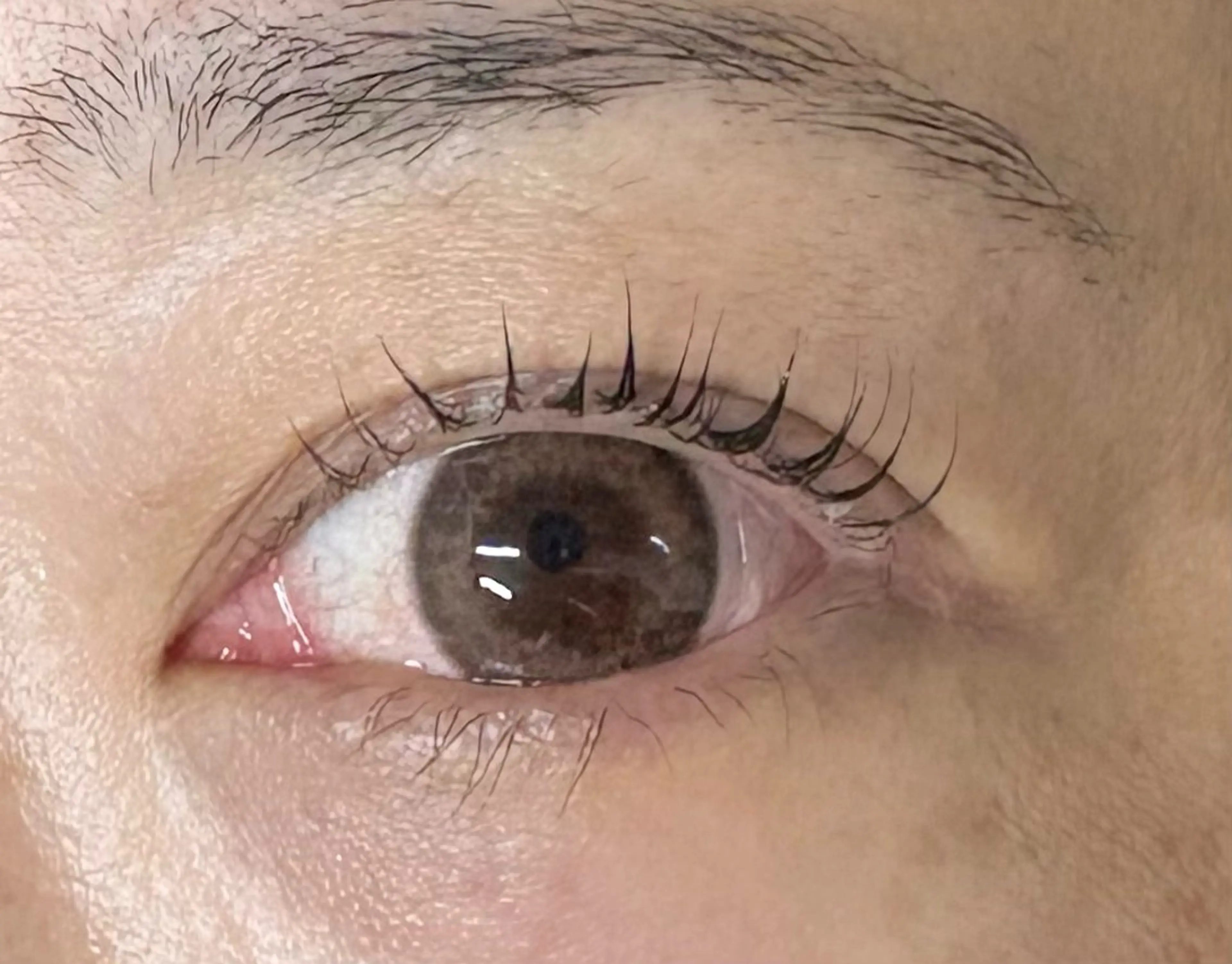 マツエク・マツパ Holus Moriguchiのマツエク・マツパデザイン