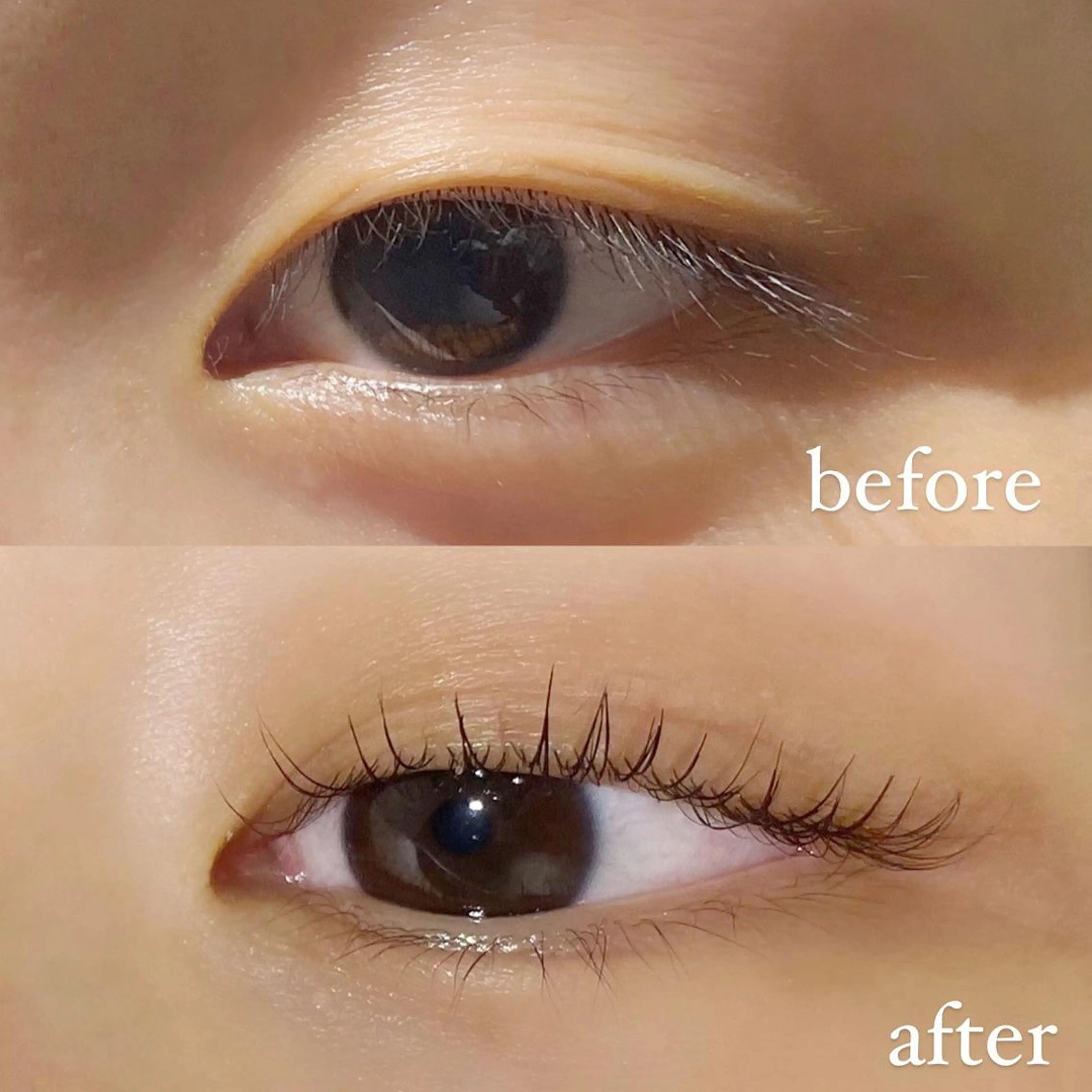 マツエク・マツパ NUEVO 横浜西口店の眉毛・アイブロウイメージ