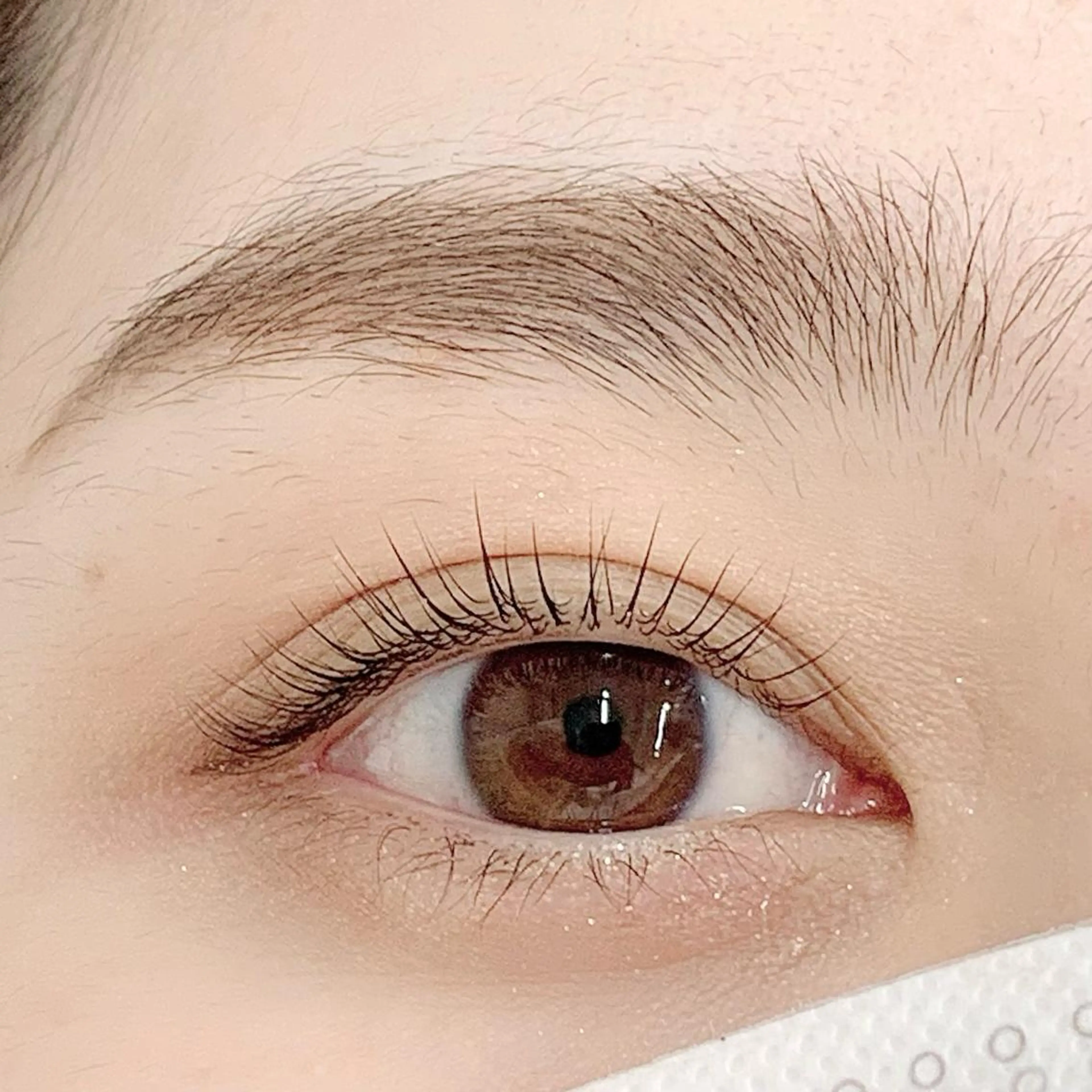 マツエク・マツパ パリジェンヌラッシュリフト BellFlower Aki（眉・まつげ）のマツエク・マツパデザイン