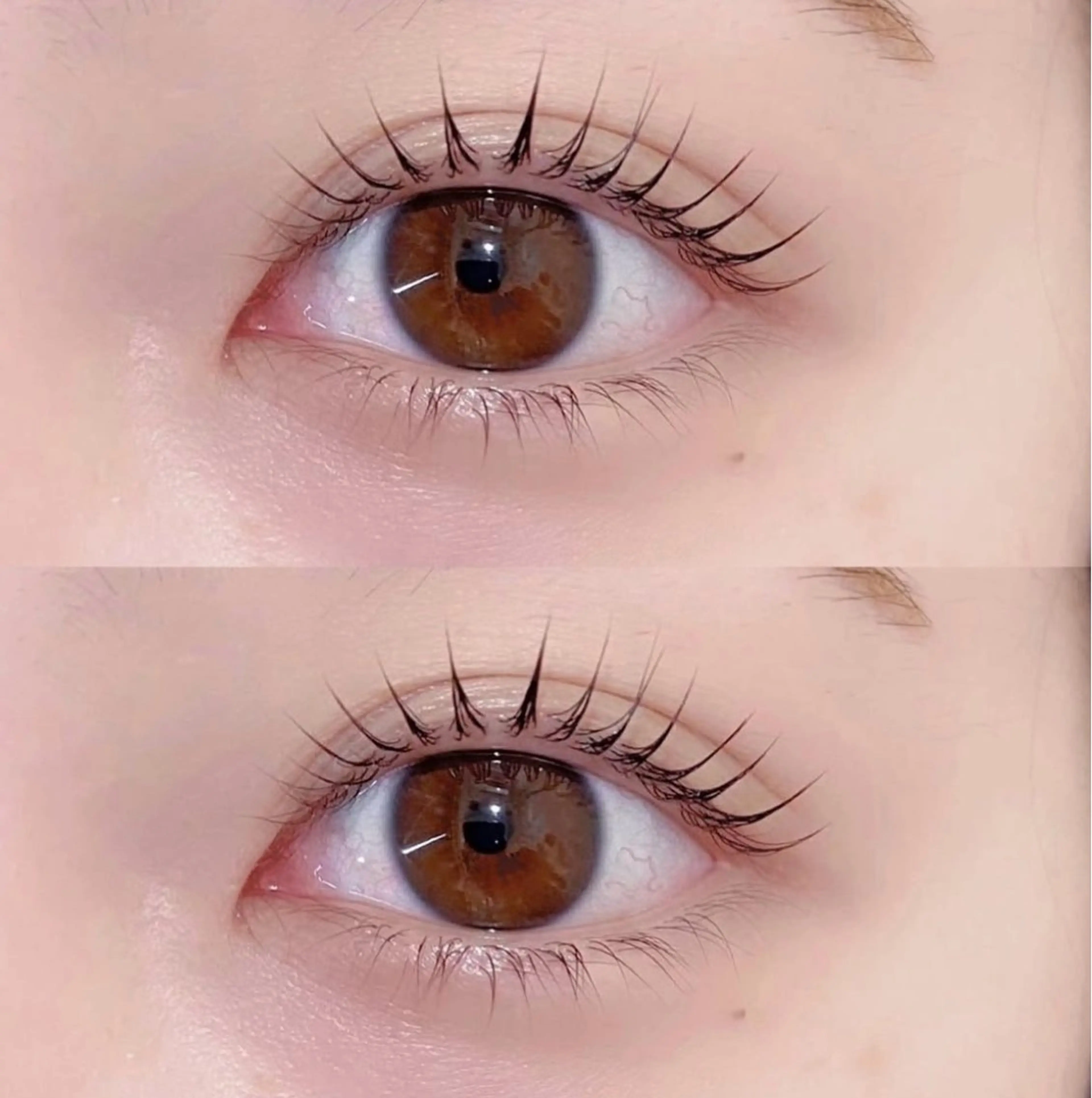 マツエク・マツパ パリジェンヌラッシュリフト まつげパーマ マツパ miku .の眉毛・アイブロウイメージ