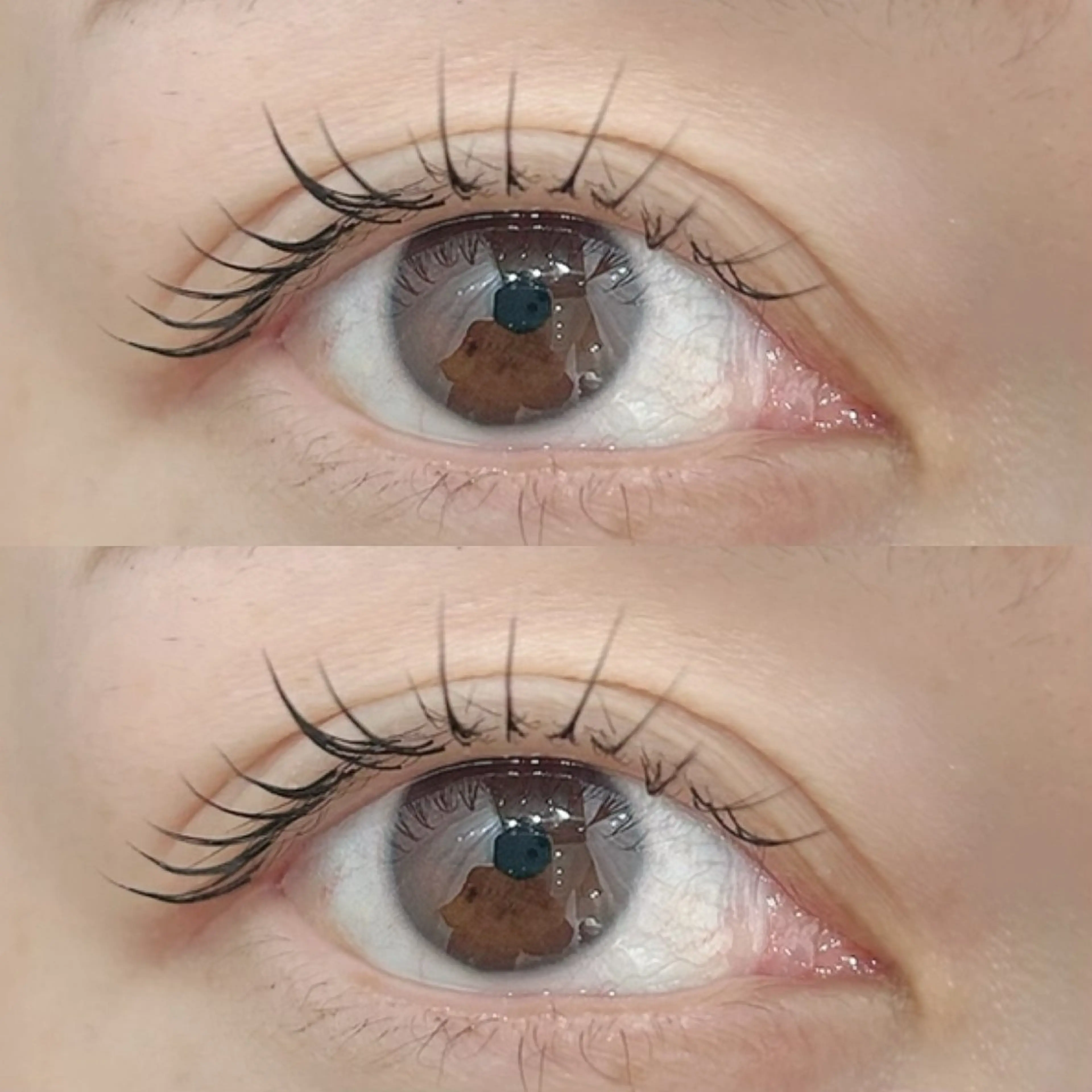 マツエク・マツパ セーブル LＯP I chisatoのマツエク・マツパデザイン