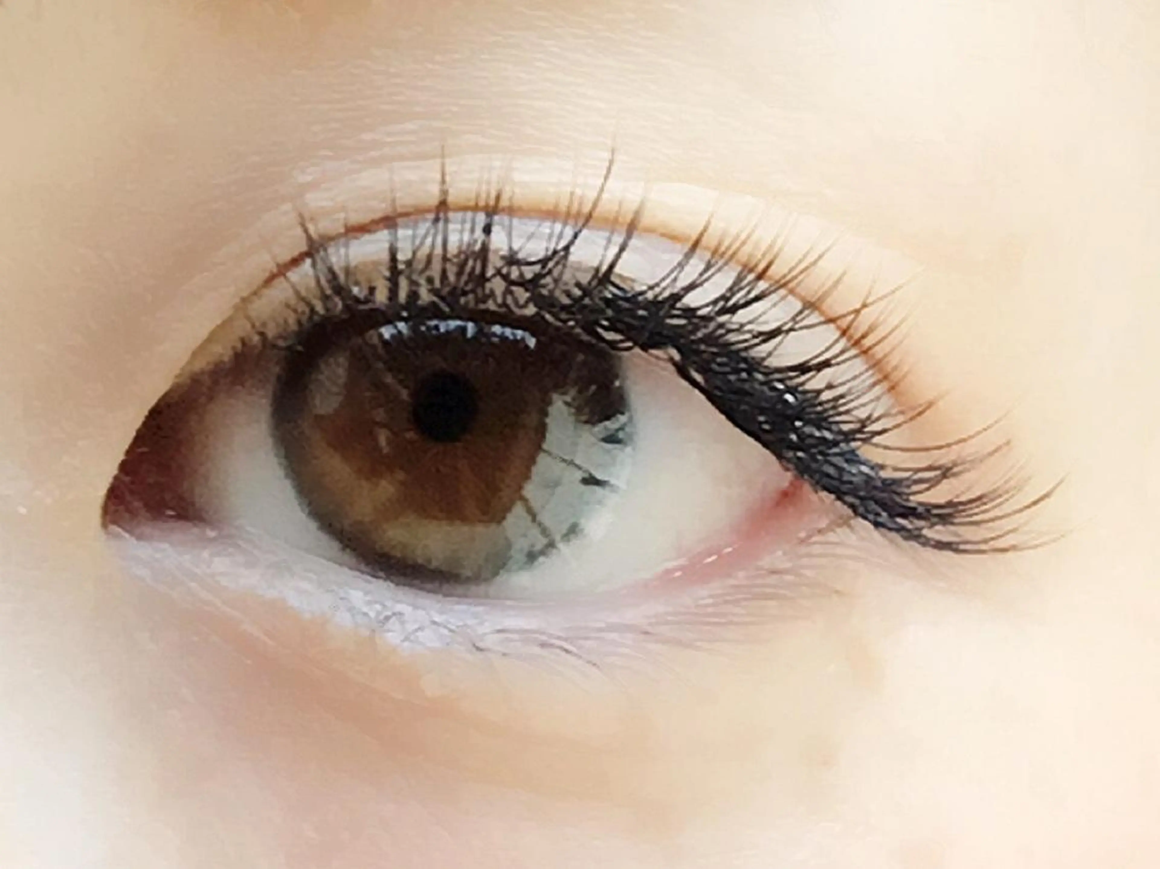 マツエク・マツパ ゴージャス マツエク&まつ毛カールサロン　バタフライ・ラッシュ所属・下がりまつ毛たるみ 専門サロン妙蓮寺駅のマツエク・マツパデザイン