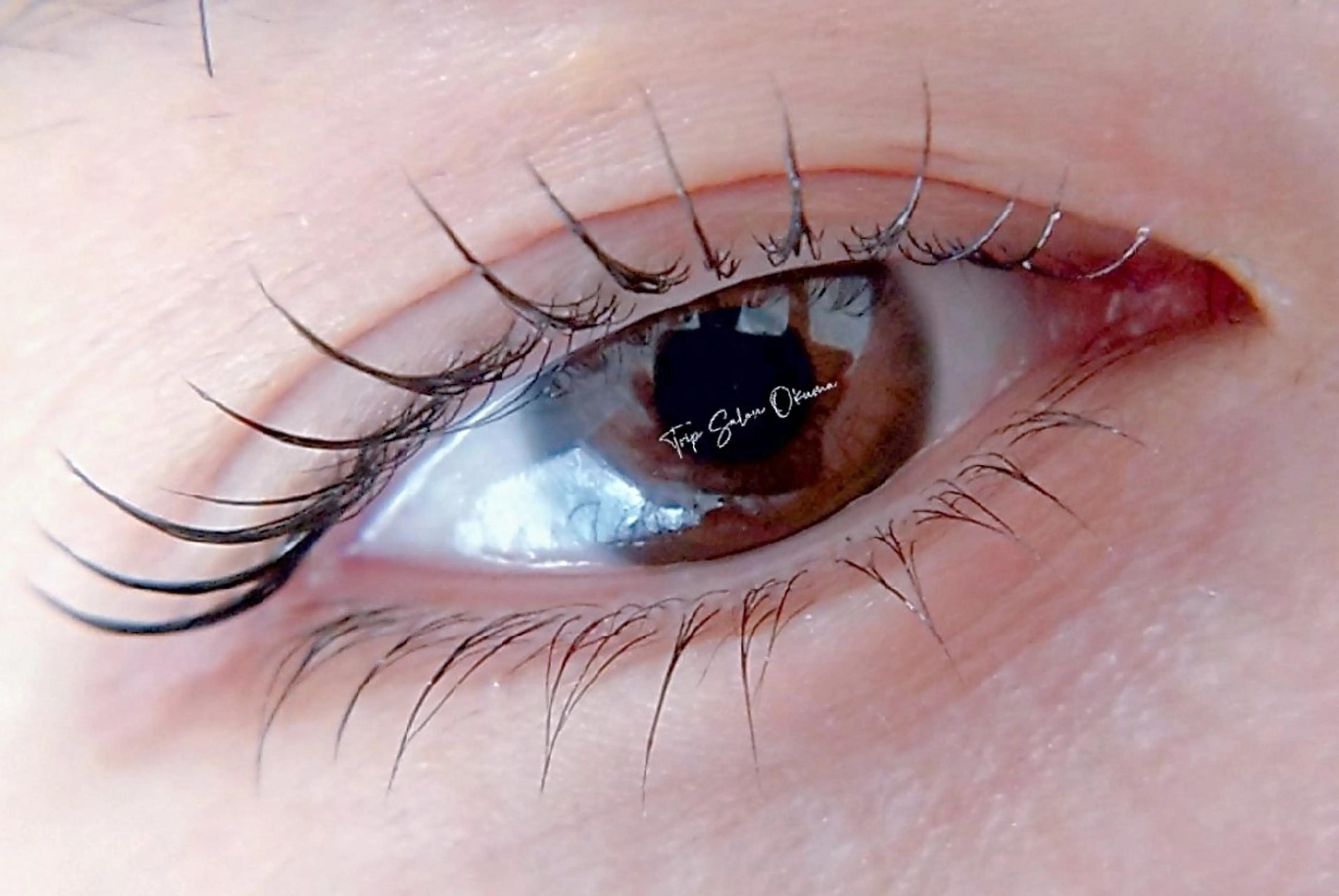 💚新規のみ🩷まつ毛パーマ上下・条件あり🈶12月＆1月限定価格♡の写真