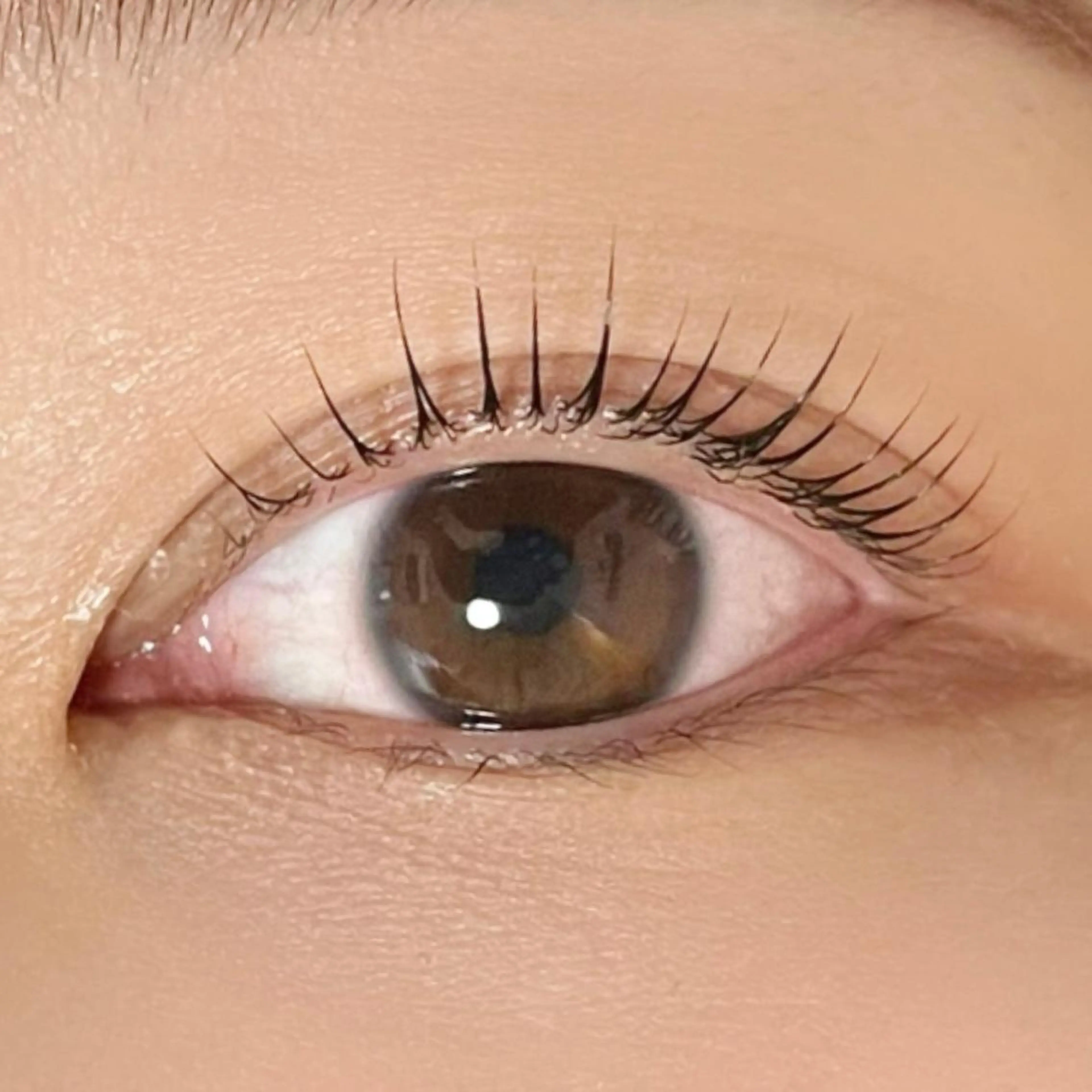 マツエク・マツパ マツパ Rafre所属・Rafre【ラフレ】 タカヤマのマツエク・マツパデザイン