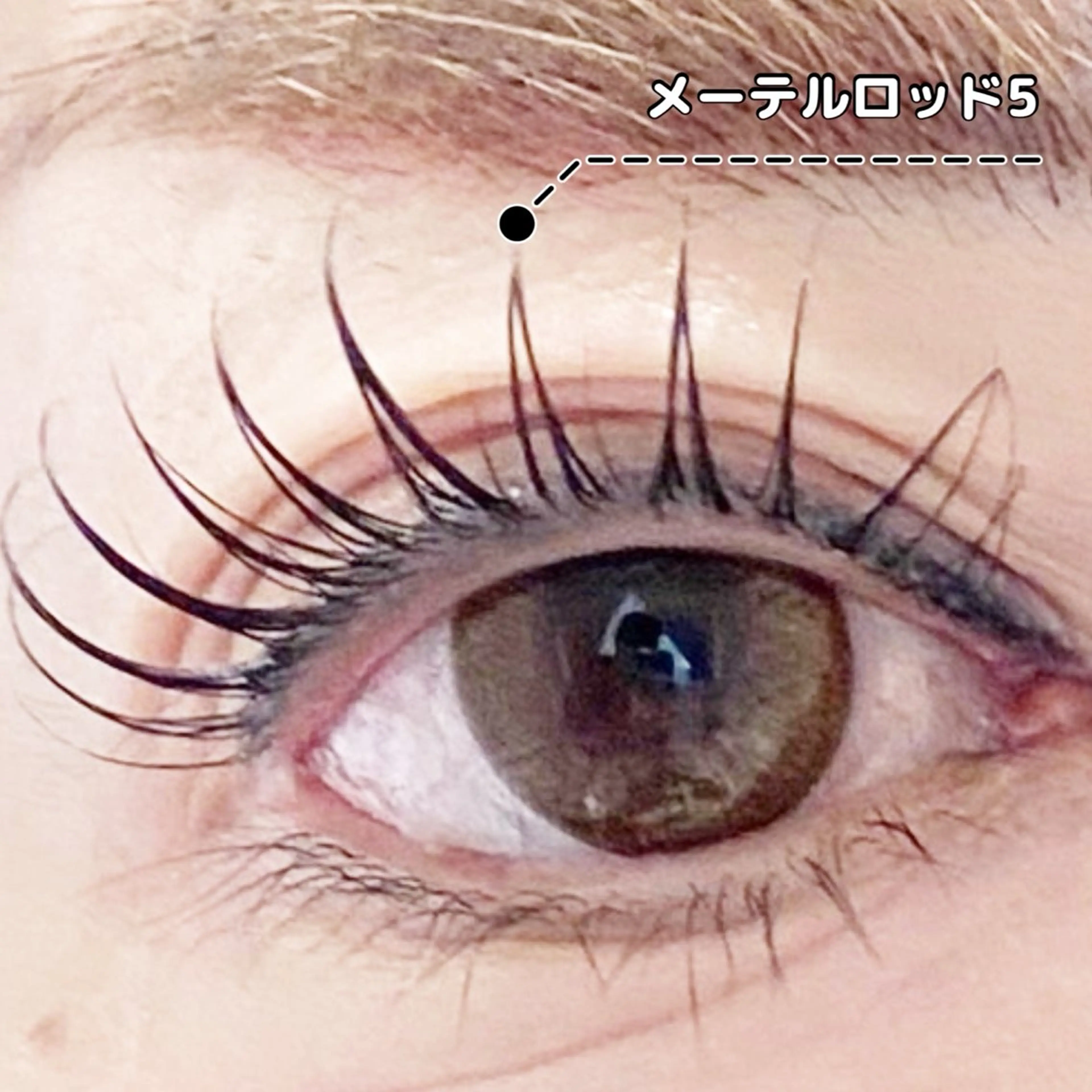 マツエク・マツパ LC尾張旭店所属・LC尾張旭店🫧 いしいのマツエク・マツパデザイン