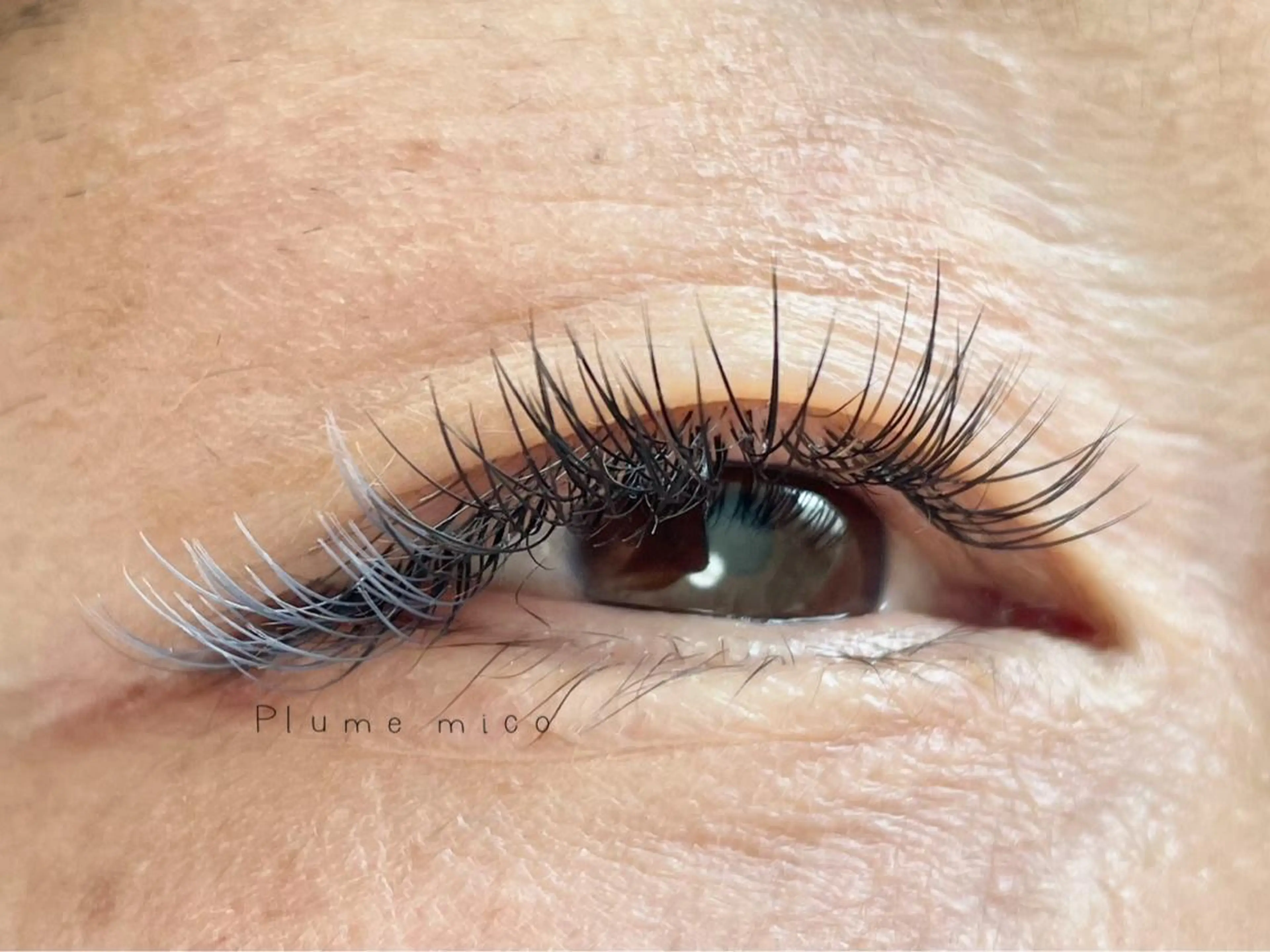 マツエク・マツパ マツエク Plume micoのマツエク・マツパデザイン