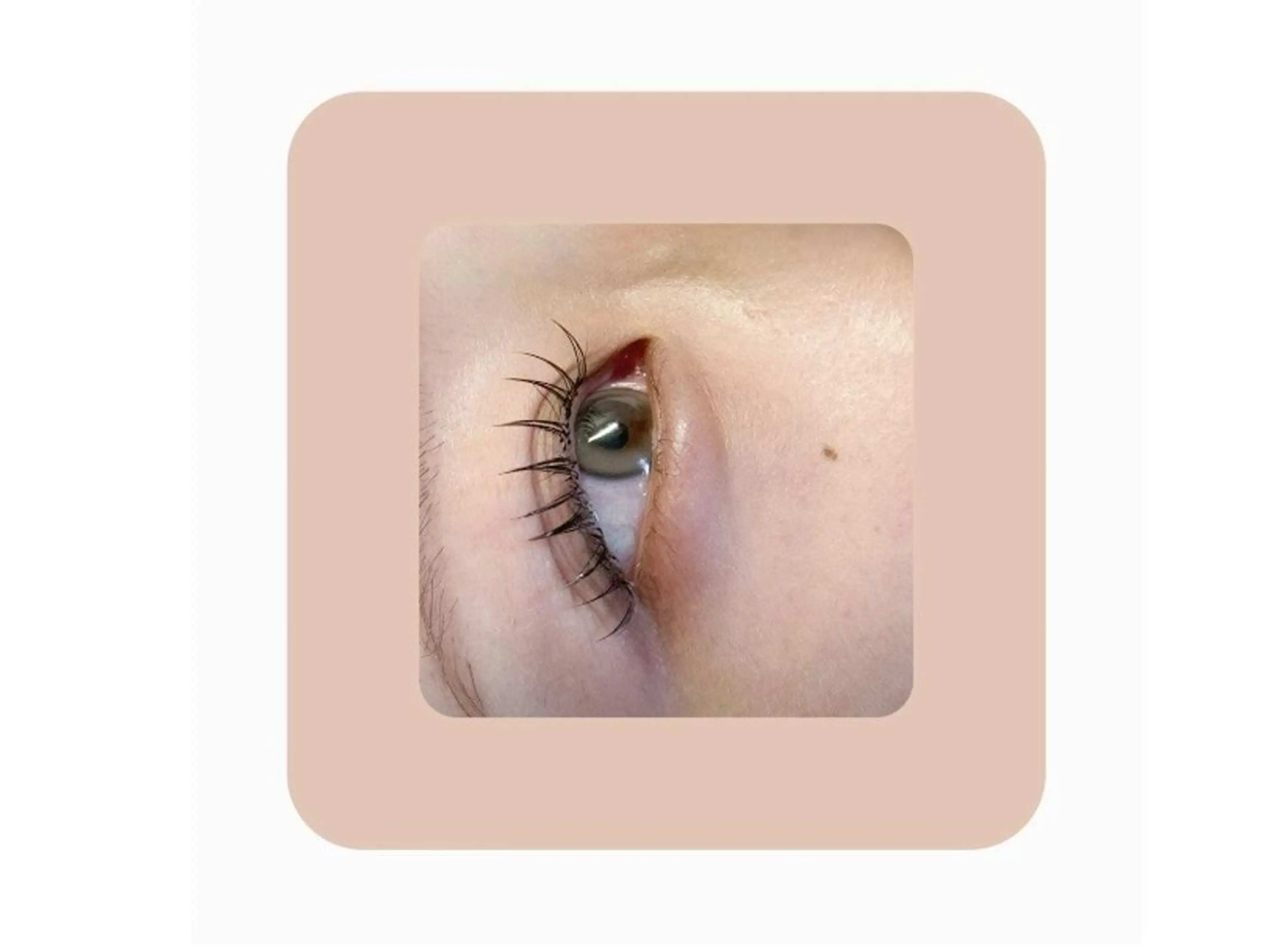 マツエク・マツパ @lunoa. _01のマツエク・マツパデザイン