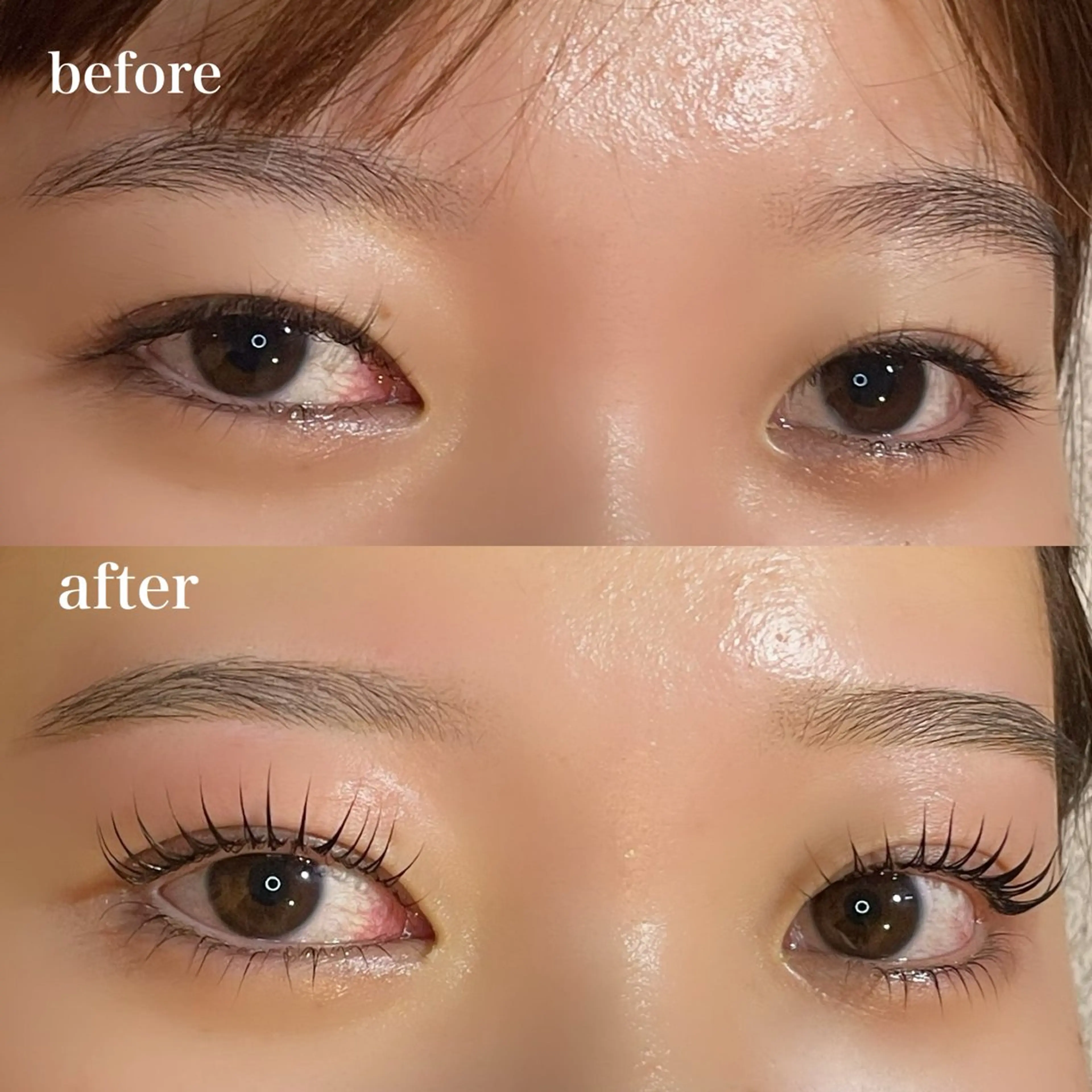 眉wax＋上下まつ毛パーマ（デザイン3種類から選べます♪）の写真