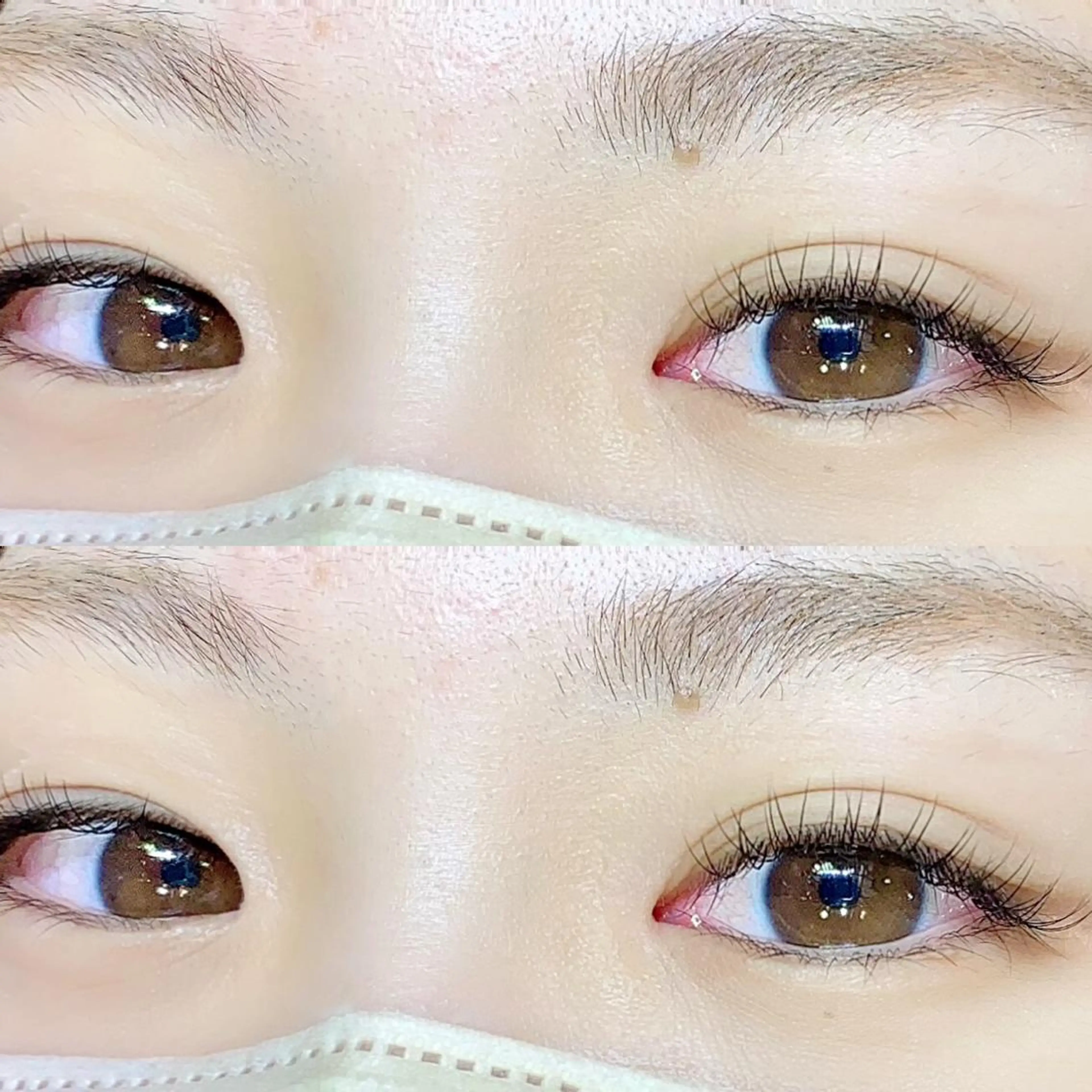 フラットラッシュ80本の写真