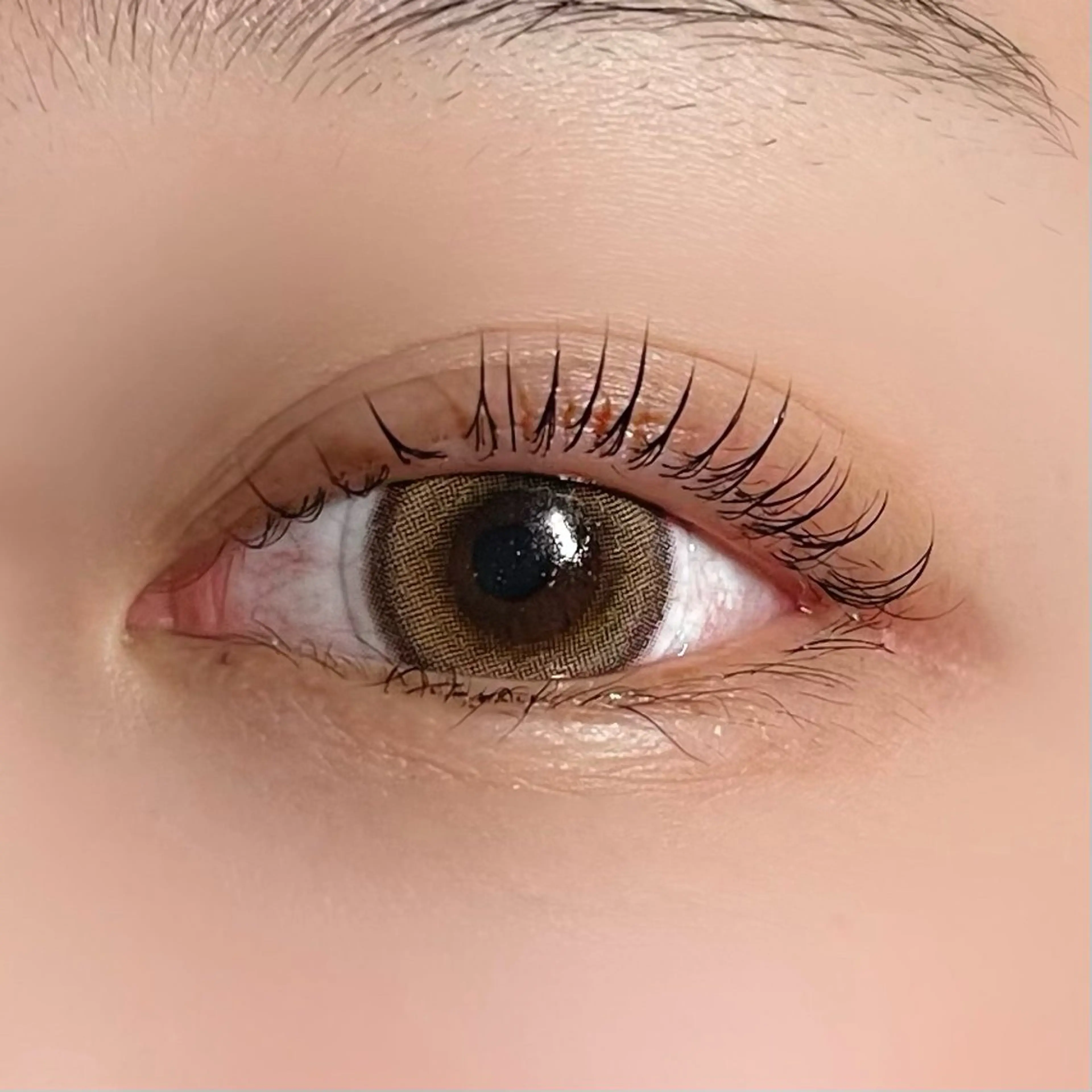 マツエク・マツパ 垢抜け眉WAX専門 ちゅるんまつげ|鎌倉の眉毛・アイブロウイメージ