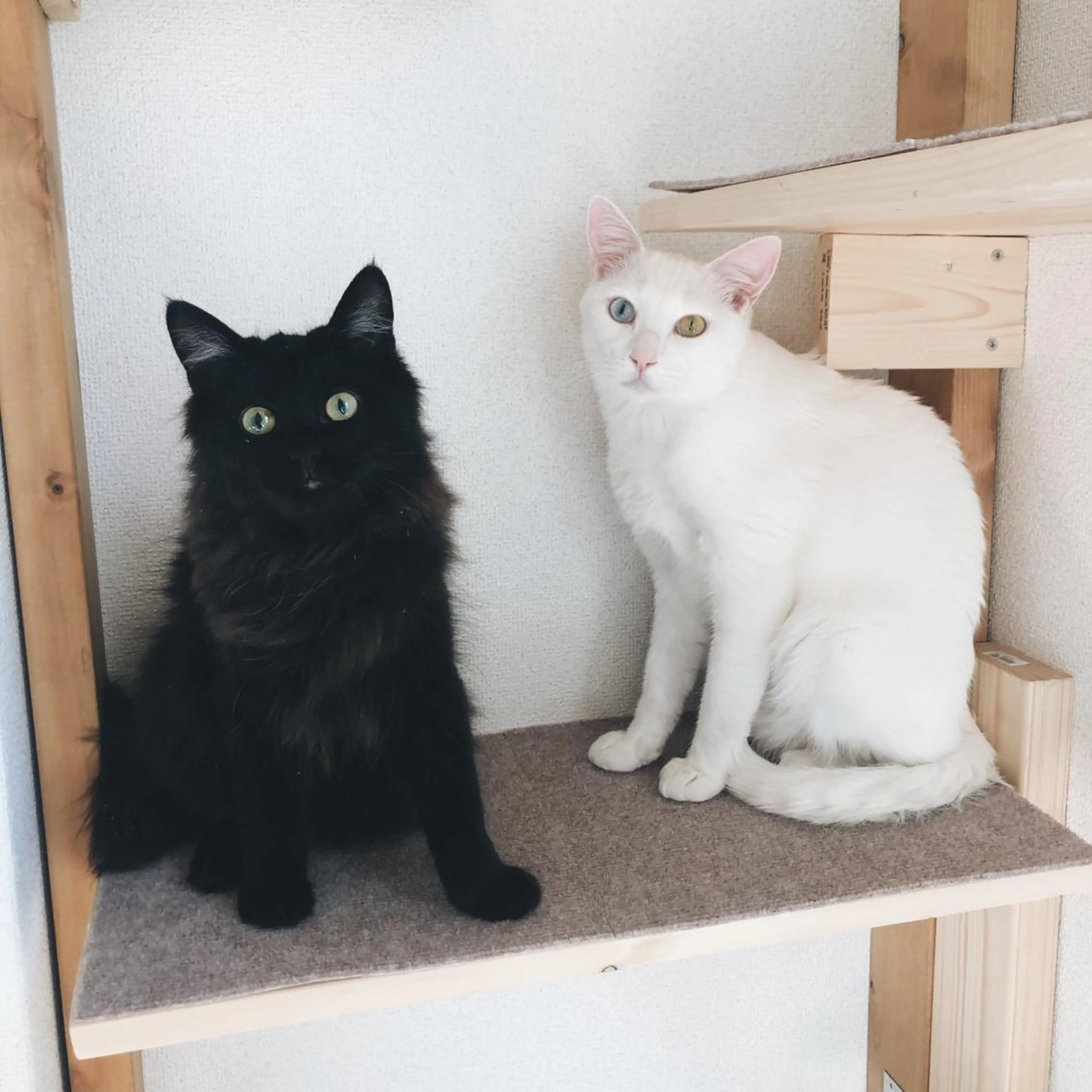 enne hair&organic所属・🌟髪質改善メテオ カラーenne🫧のヘアスタイル